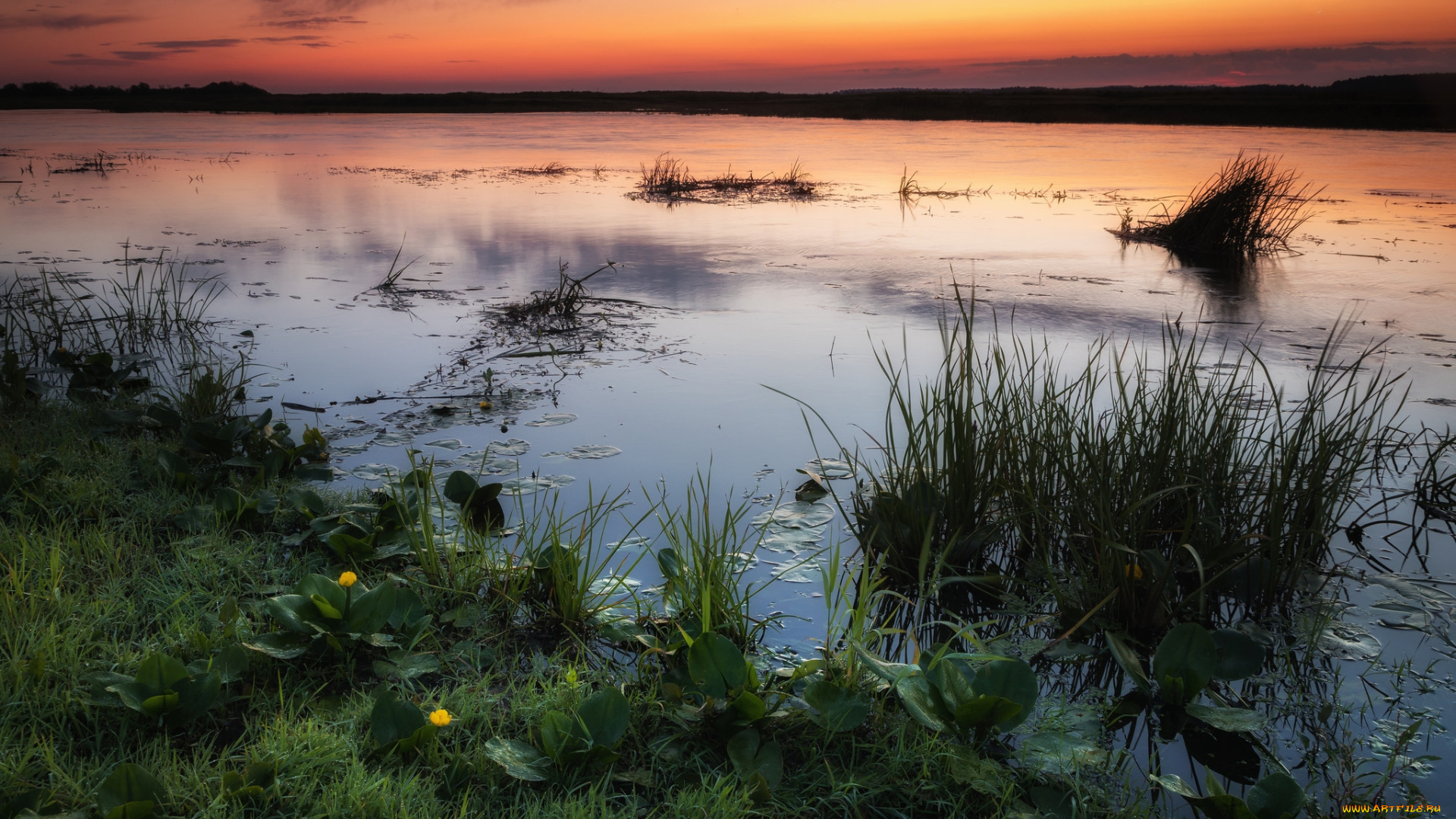 природа, реки, озера, простор