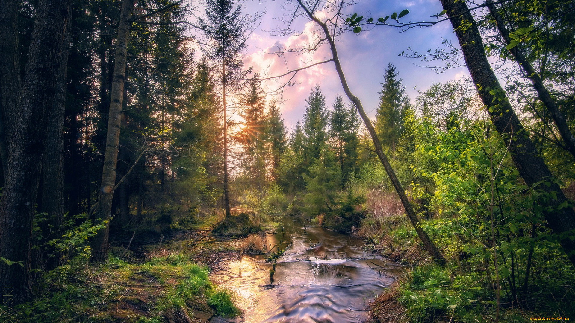 природа, реки, озера, простор