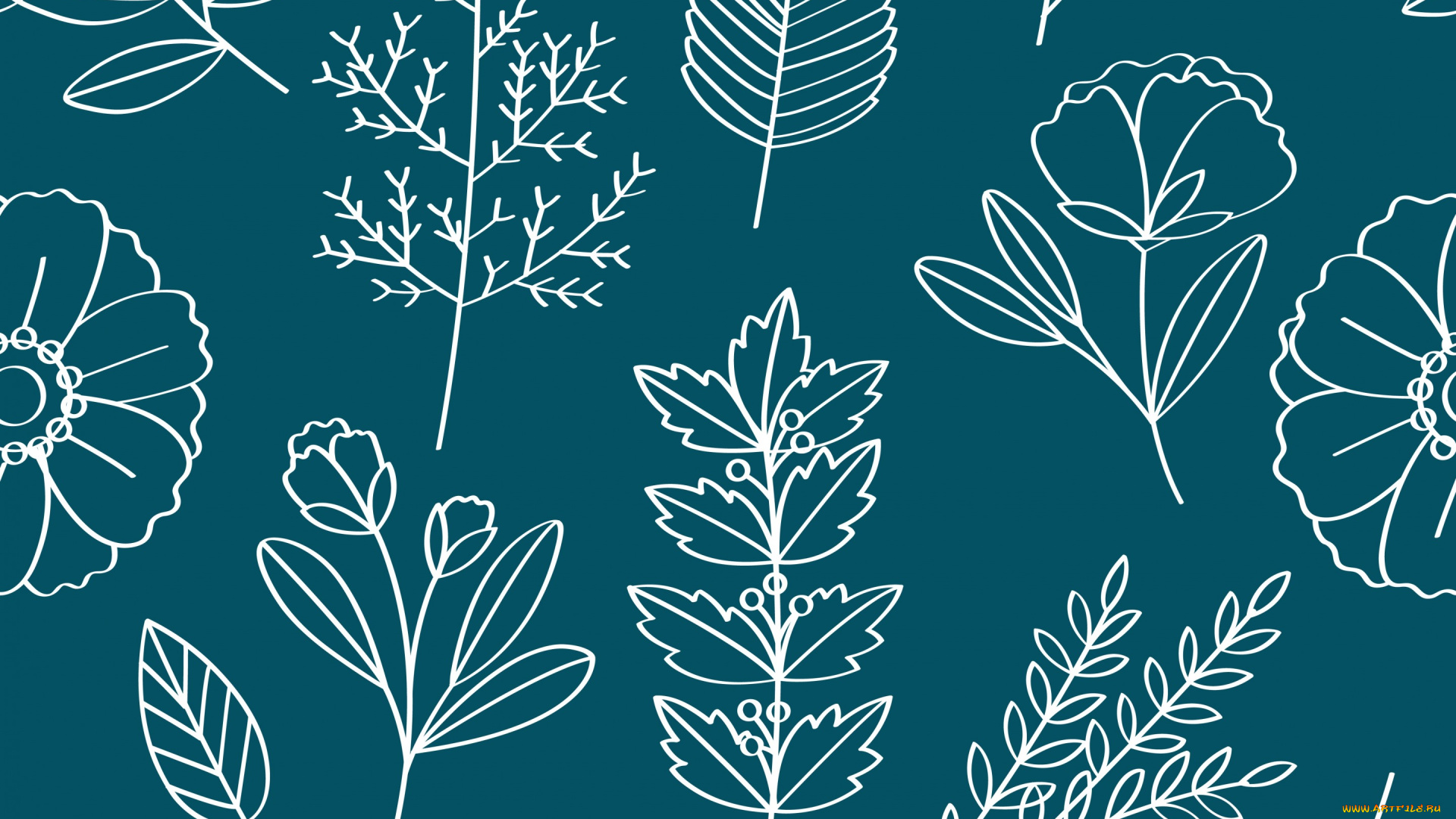 векторная, графика, цветы, , flowers, цветы, листья, floral, pattern, vector, текстура, фон