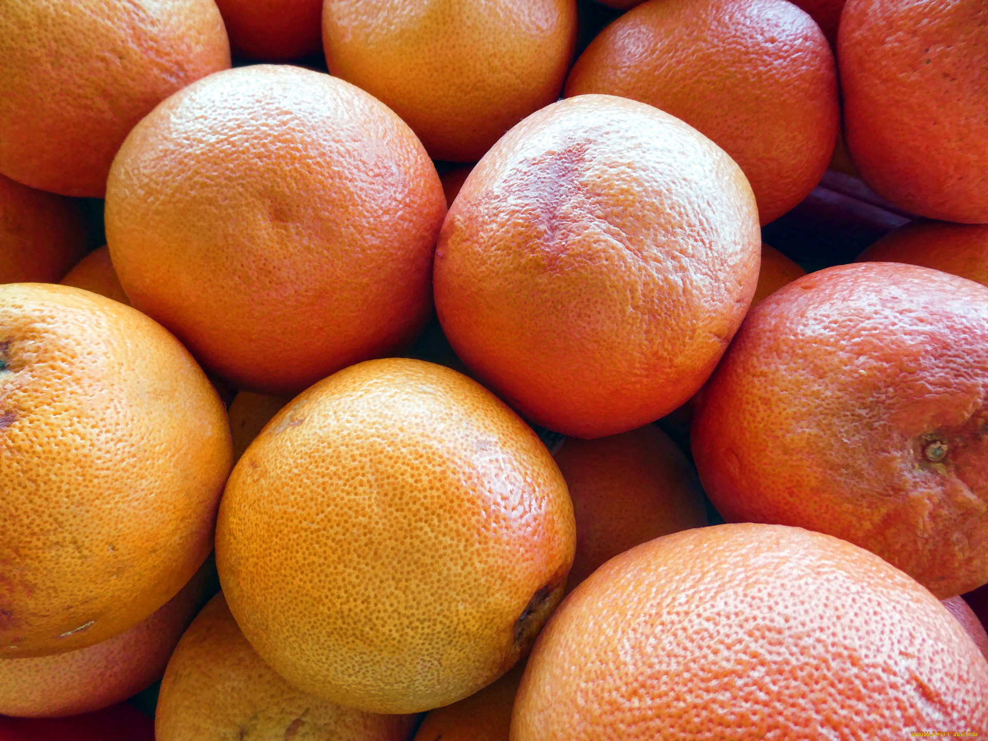 еда, цитрусы, грейпфрут