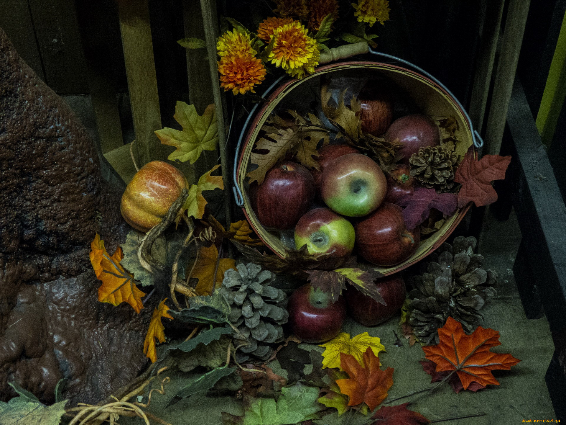 еда, Яблоки, композиция