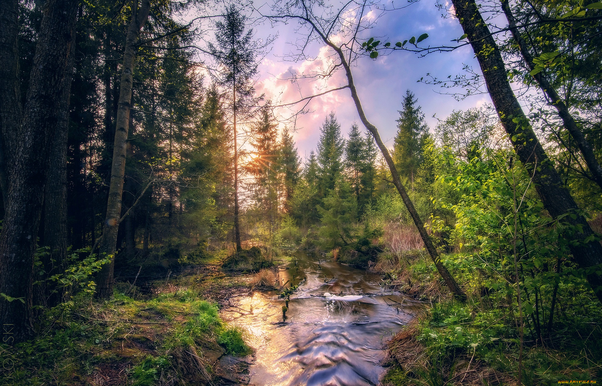 природа, реки, озера, простор