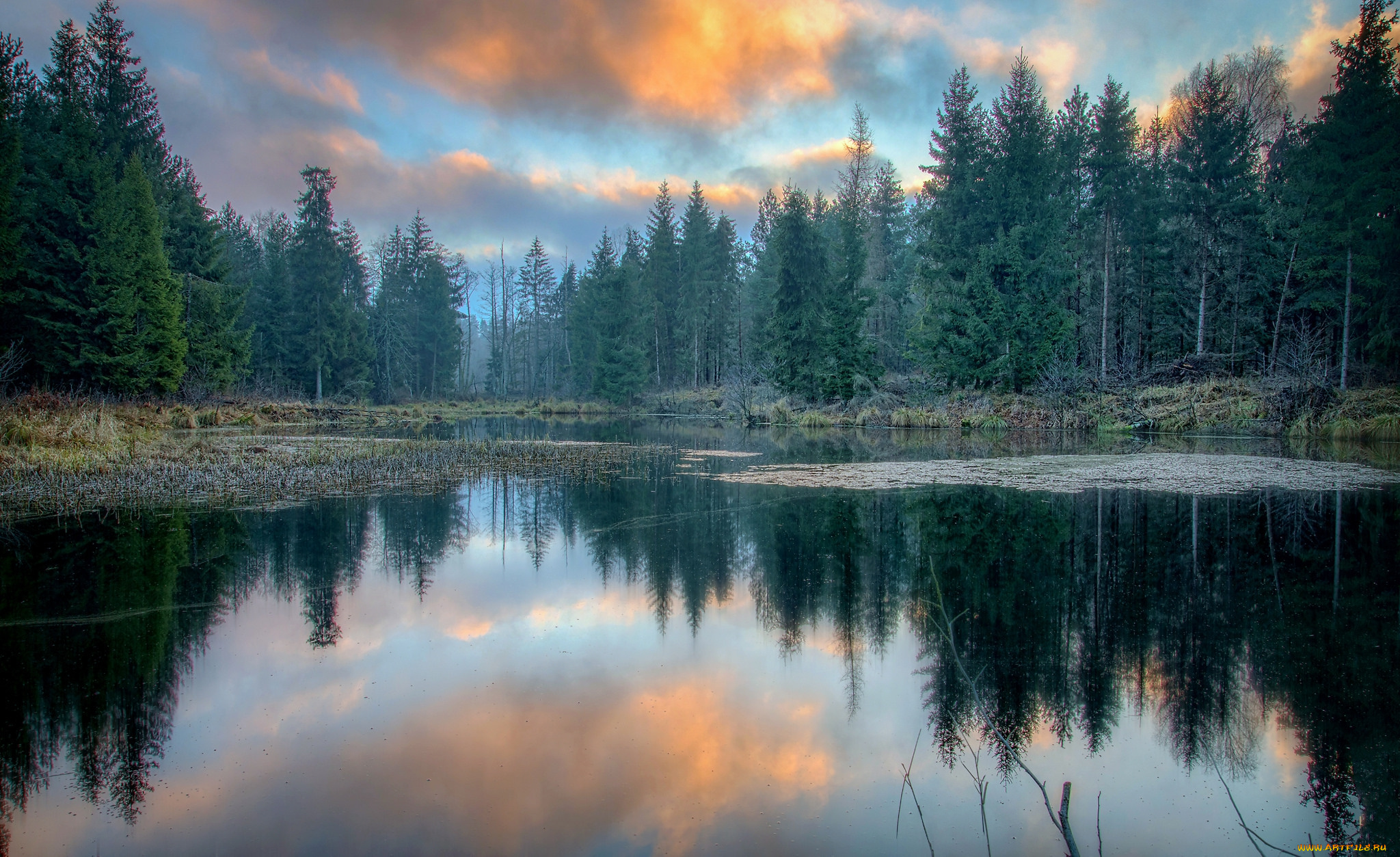 природа, реки, озера, простор