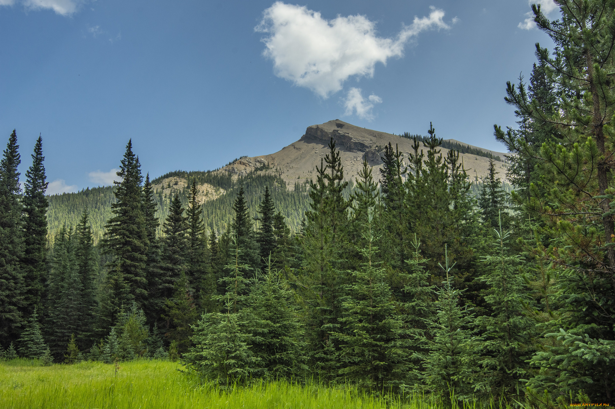 природа, горы, простор