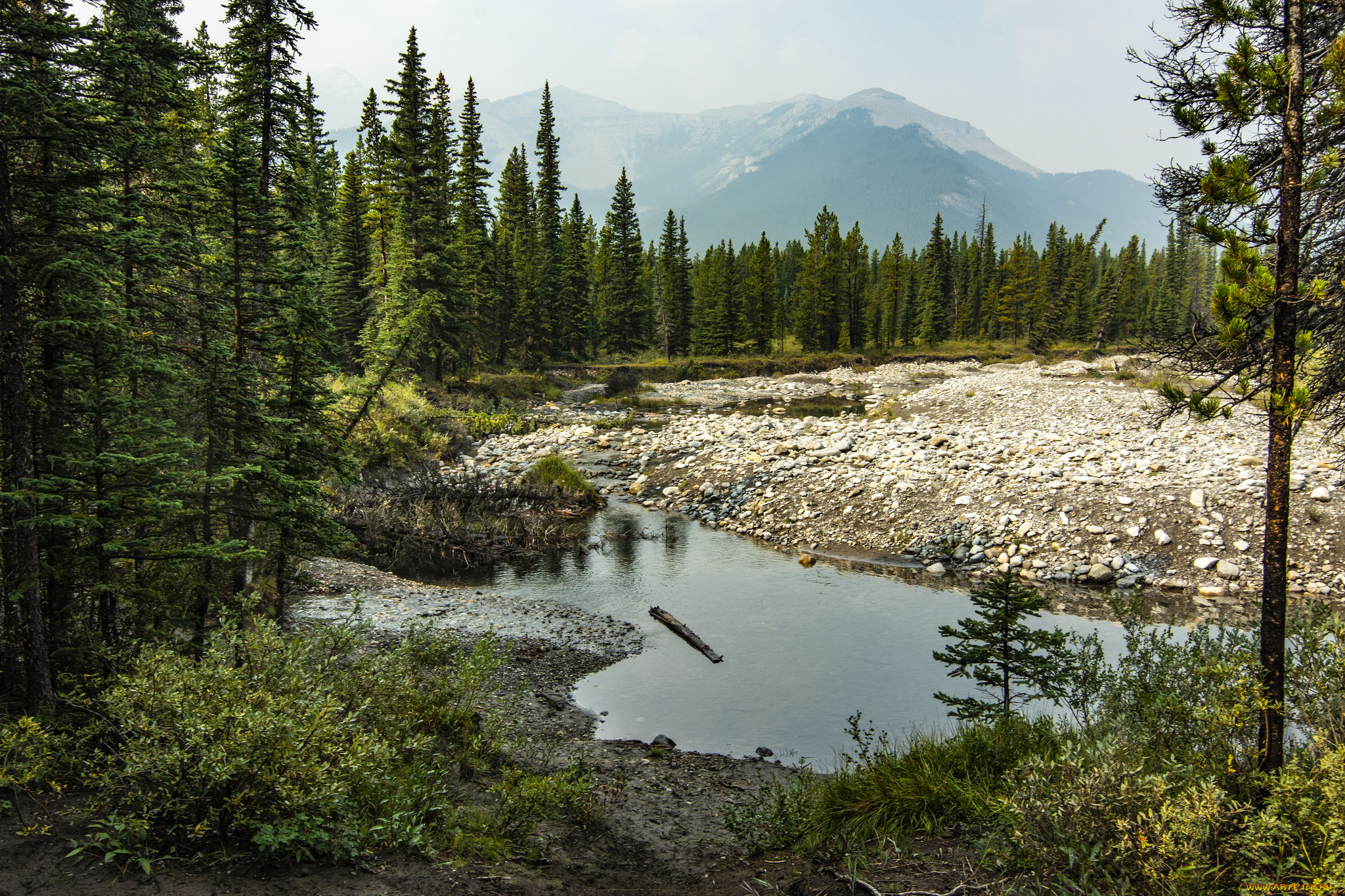 природа, реки, озера, простор