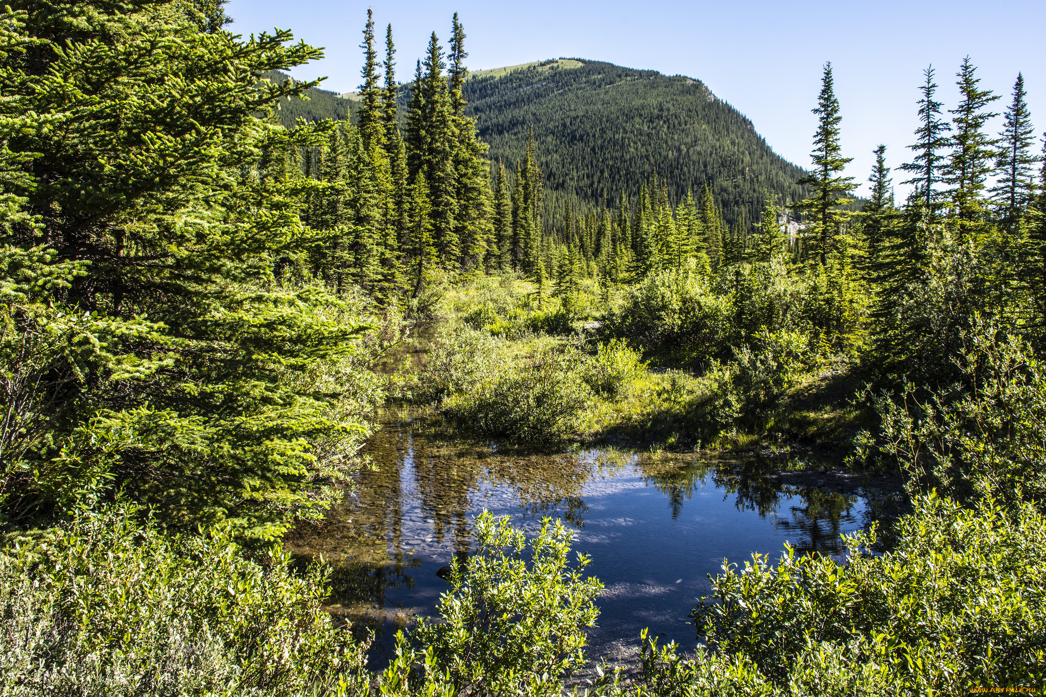 природа, реки, озера, простор