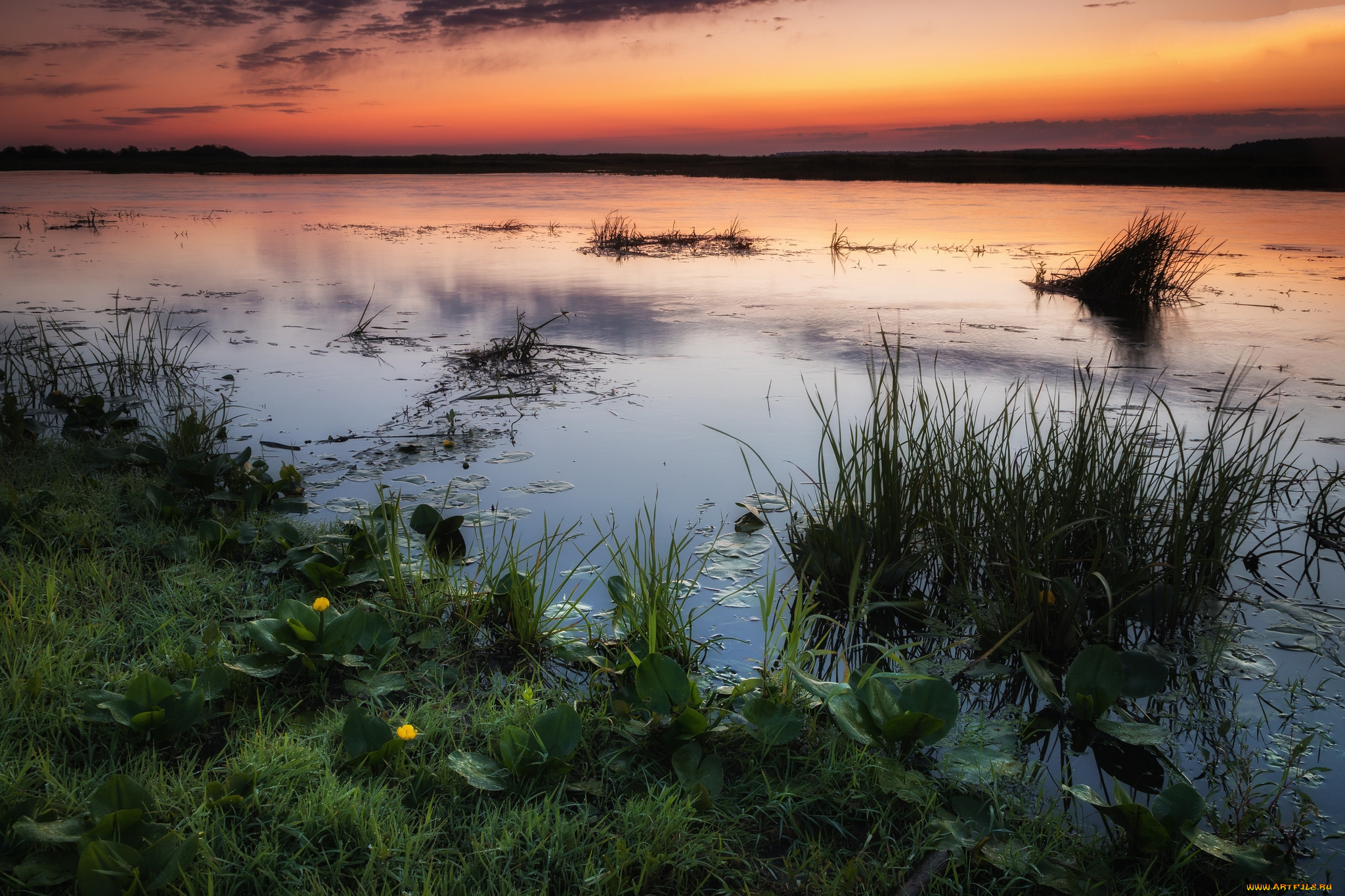 природа, реки, озера, простор