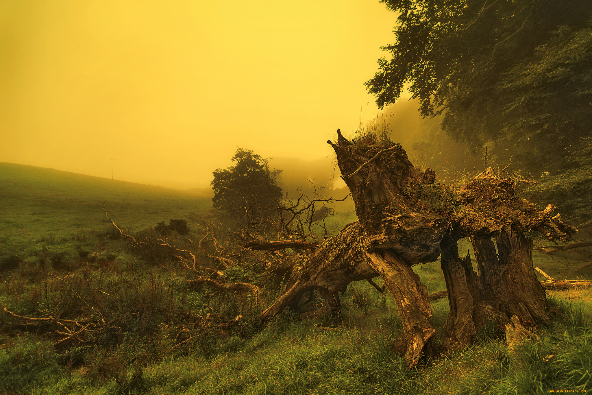 природа, пейзажи, простор