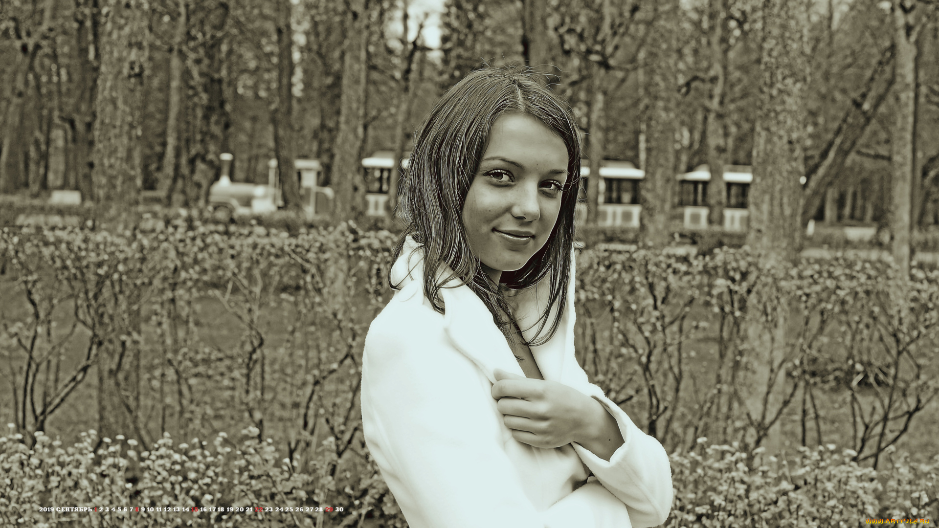 календари, компьютерный, дизайн, 2019, calendar, женщина, взгляд, девушка