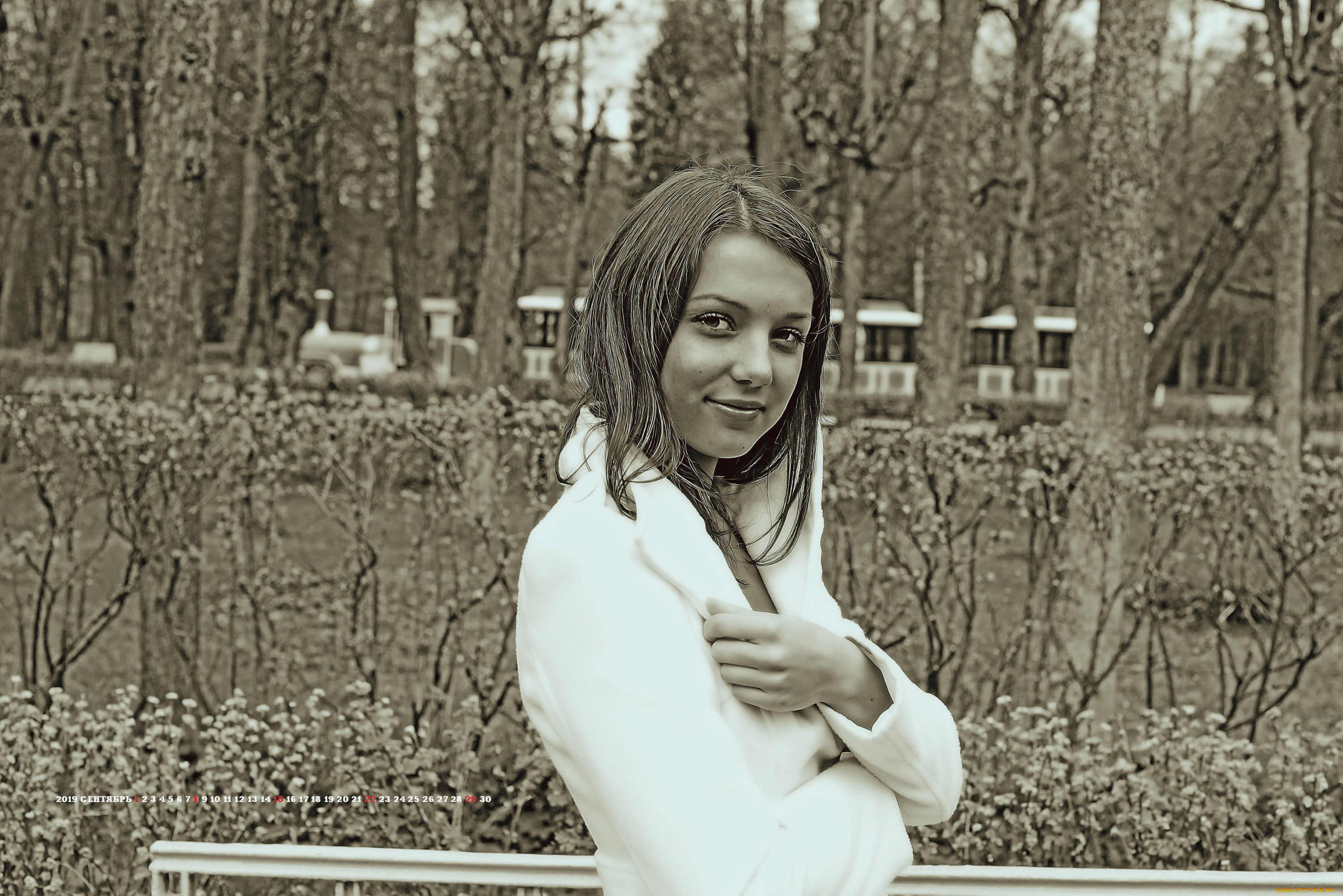 календари, компьютерный, дизайн, 2019, calendar, женщина, взгляд, девушка