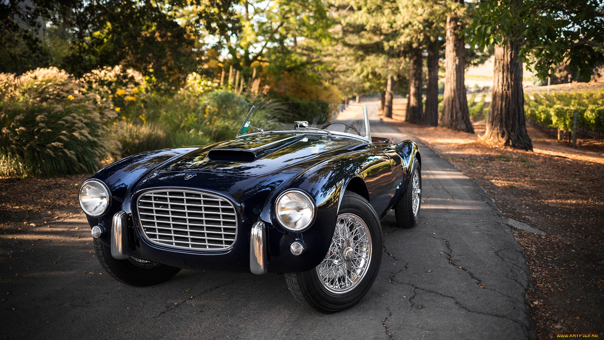 автомобили, siata, 1954, 208s, spider