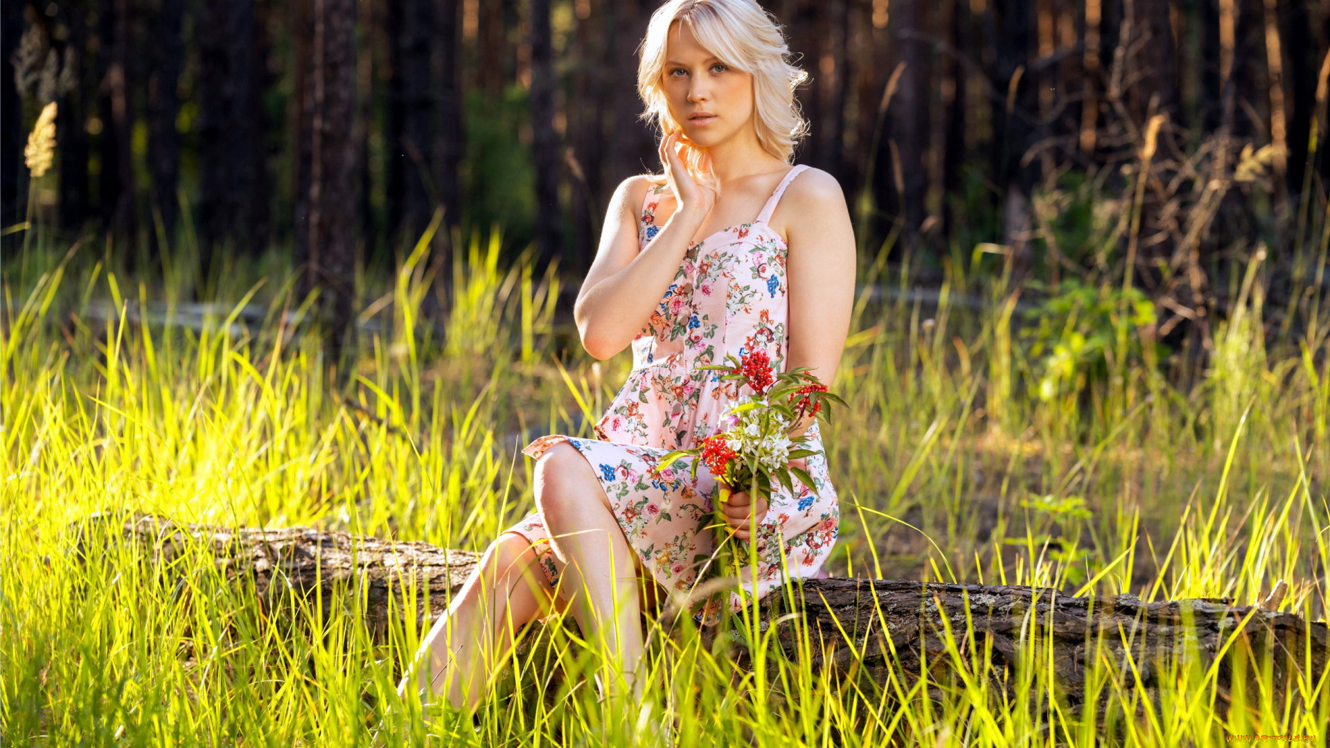 nikki, hill, девушки, -, блондинки, , светловолосые, nikki, hill