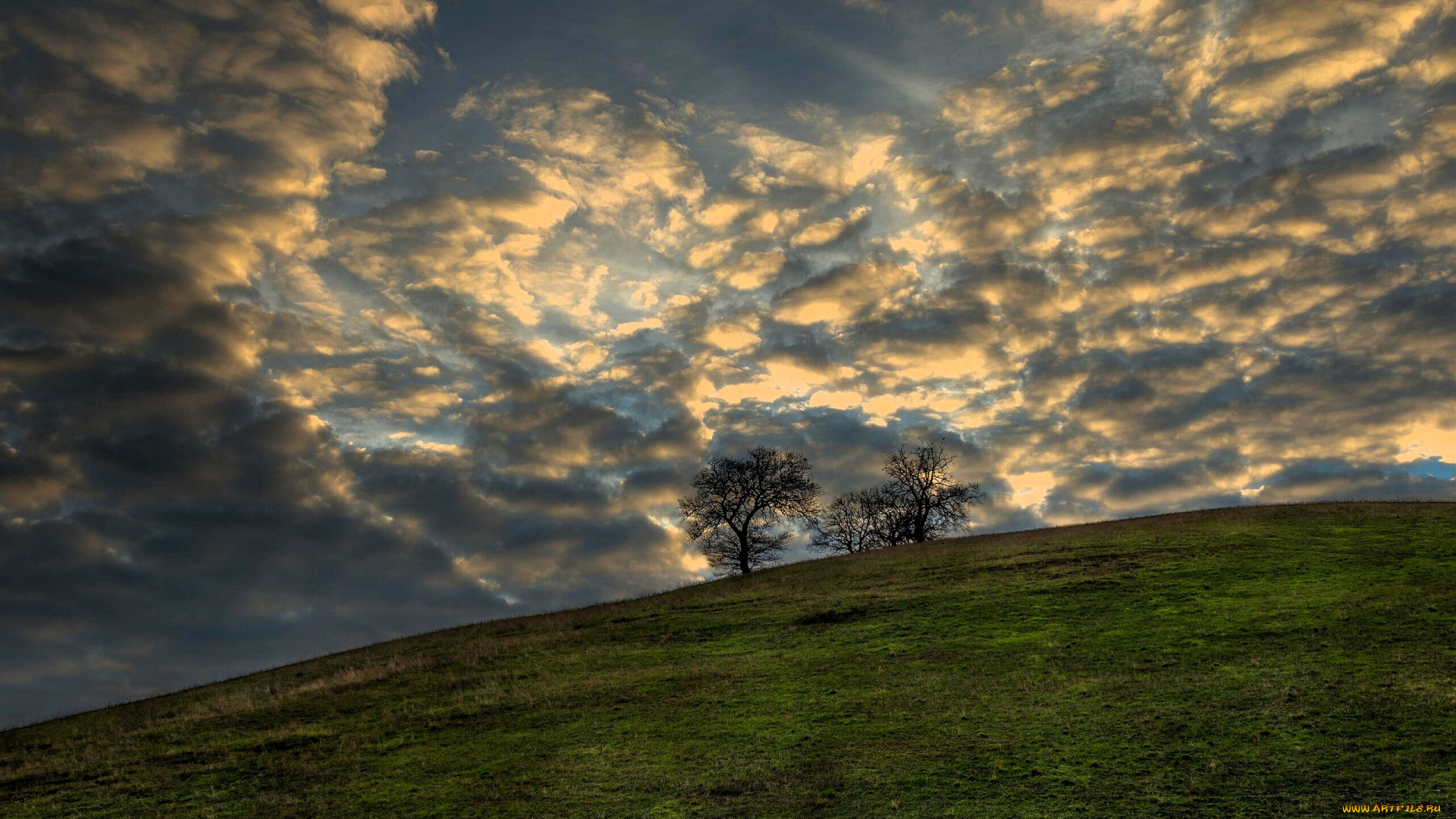природа, деревья, небо, облака, холм, трава