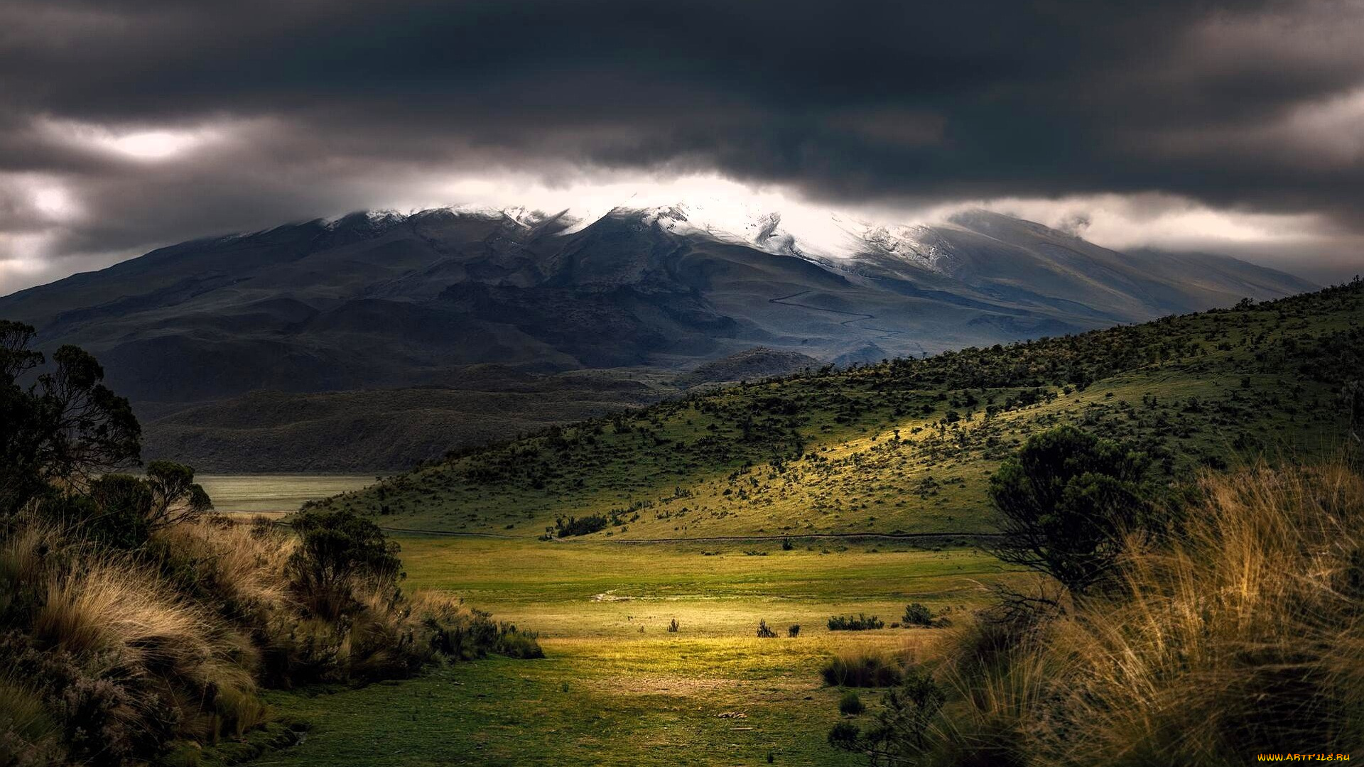 природа, горы, долина, трава, деревья, тучи