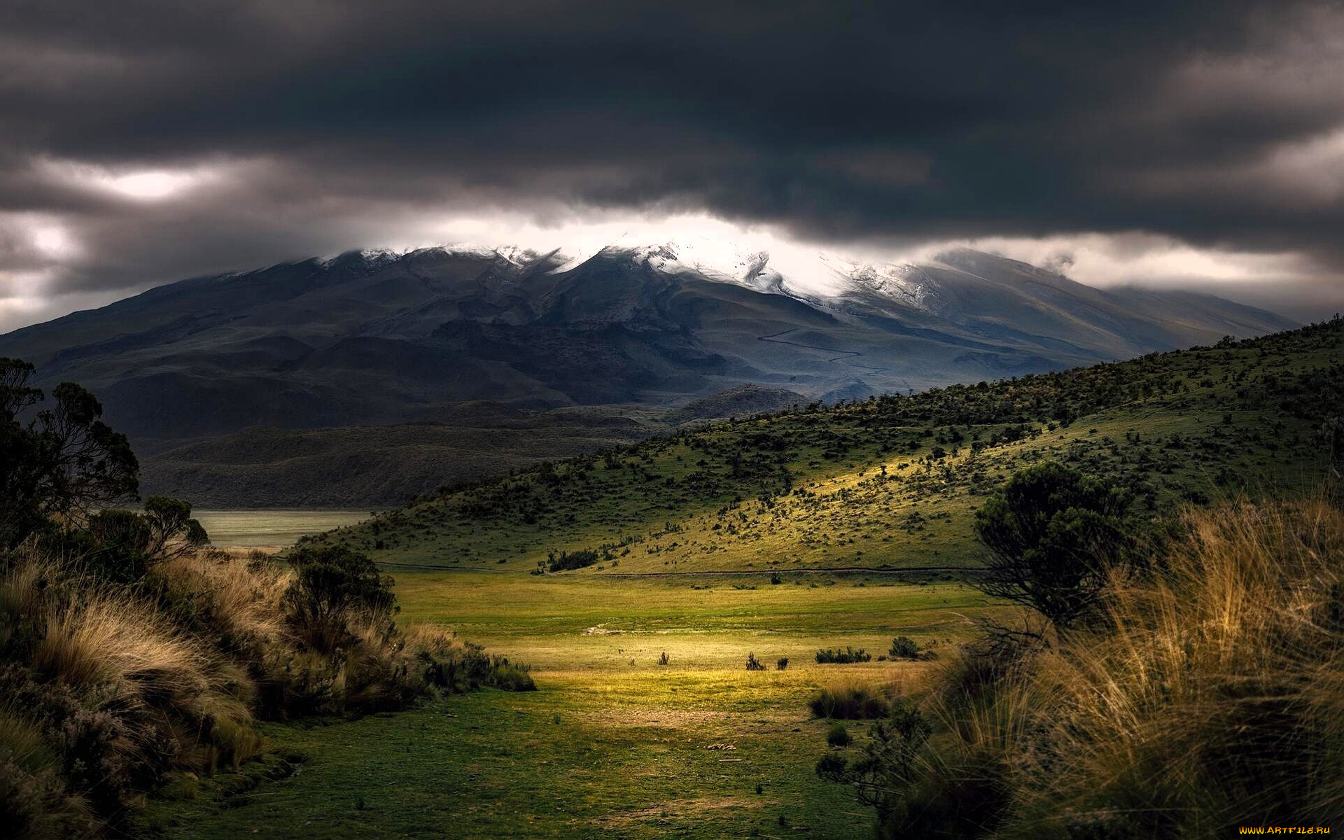 природа, горы, долина, трава, деревья, тучи