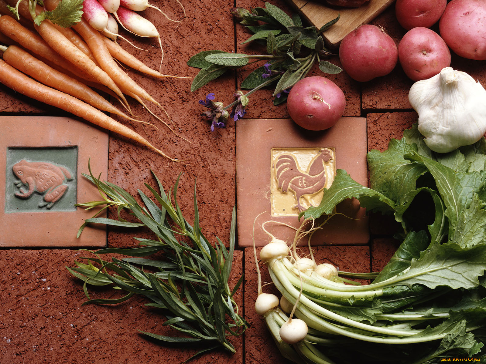еда, овощи