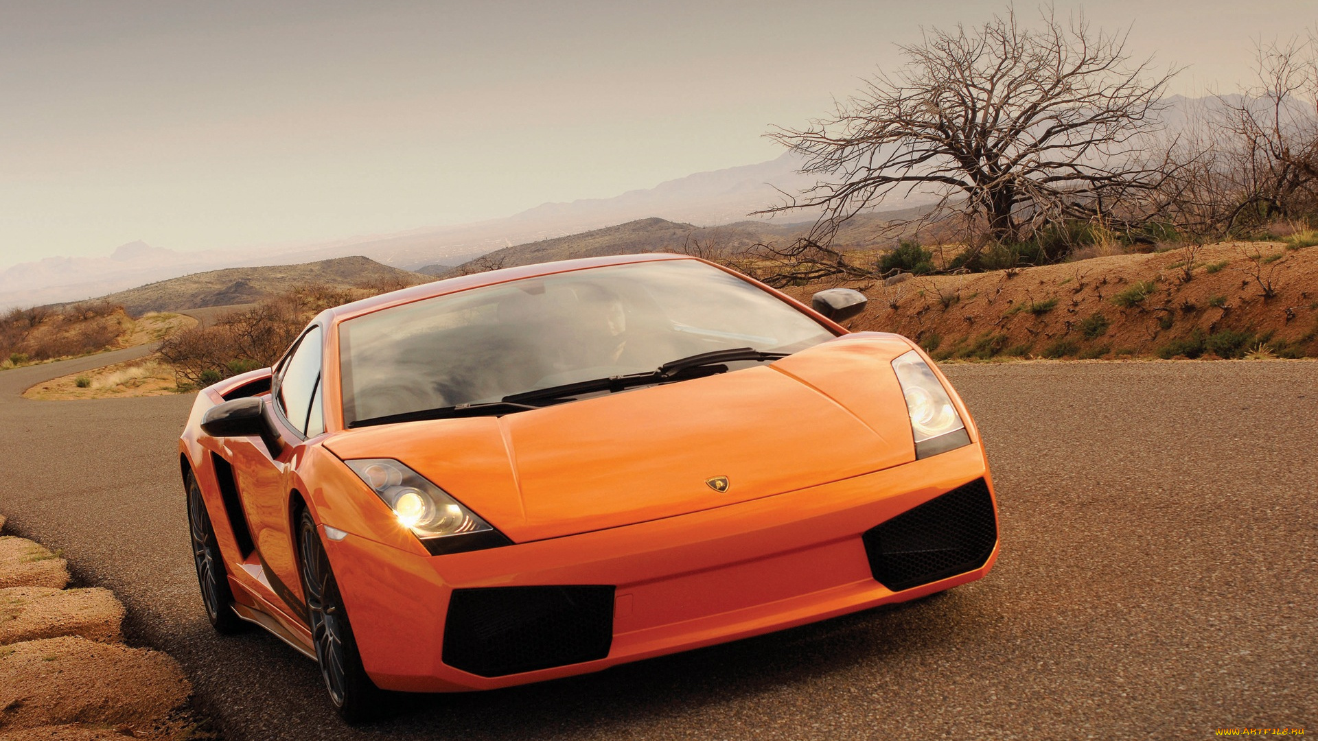 lamborghini, gallardo, supeleggera, автомобили