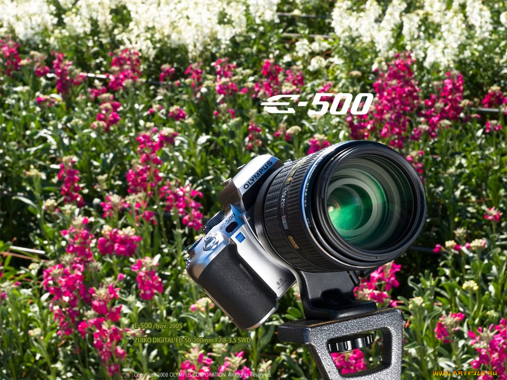 бренды, olympus