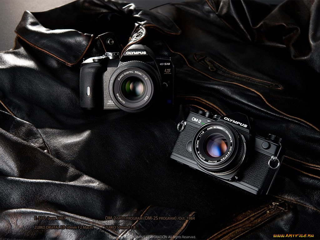 бренды, olympus