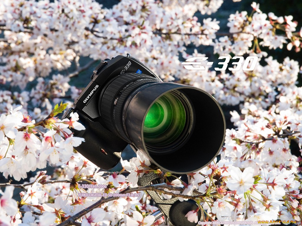 бренды, olympus