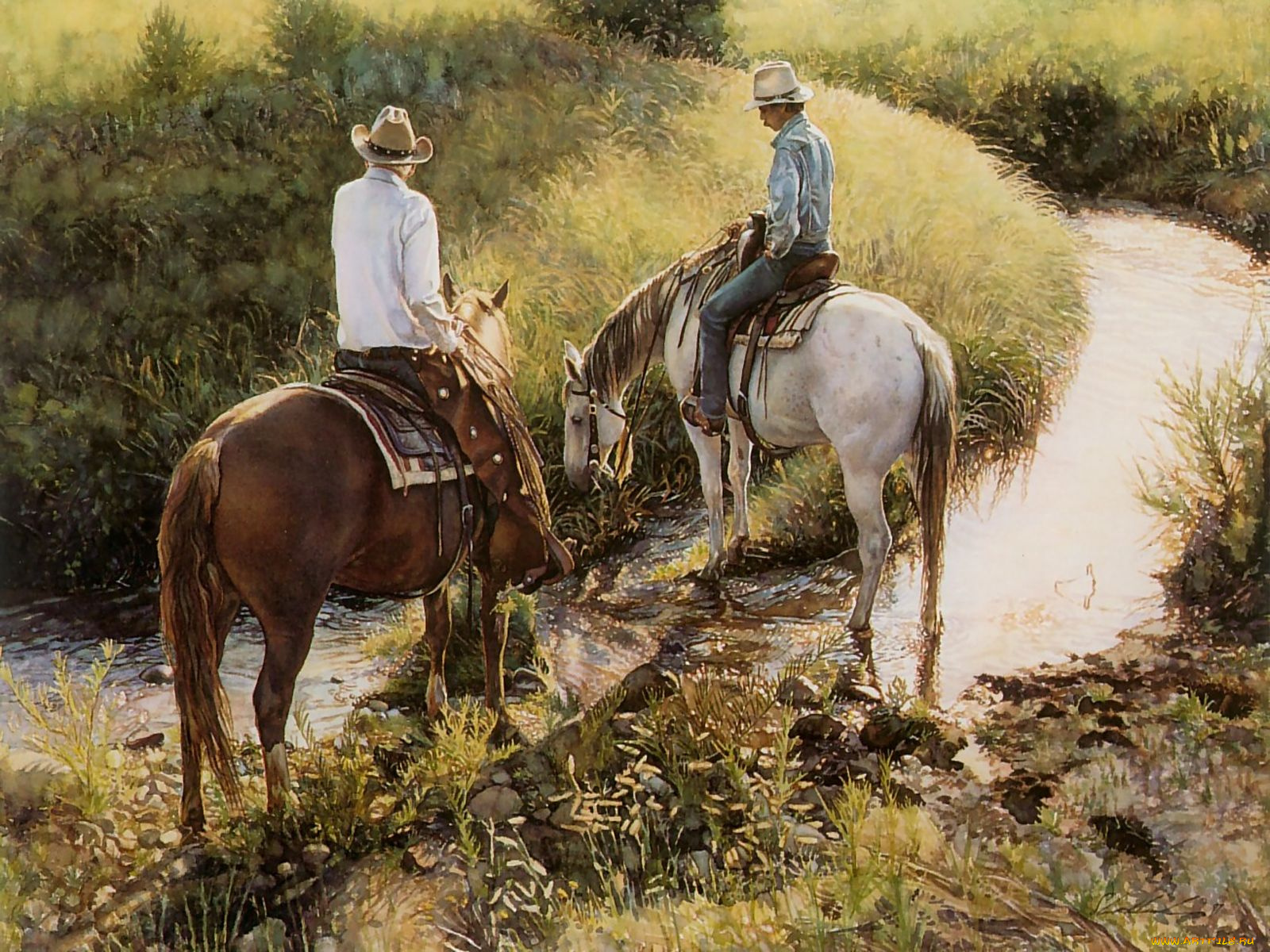 steve, hanks, рисованные