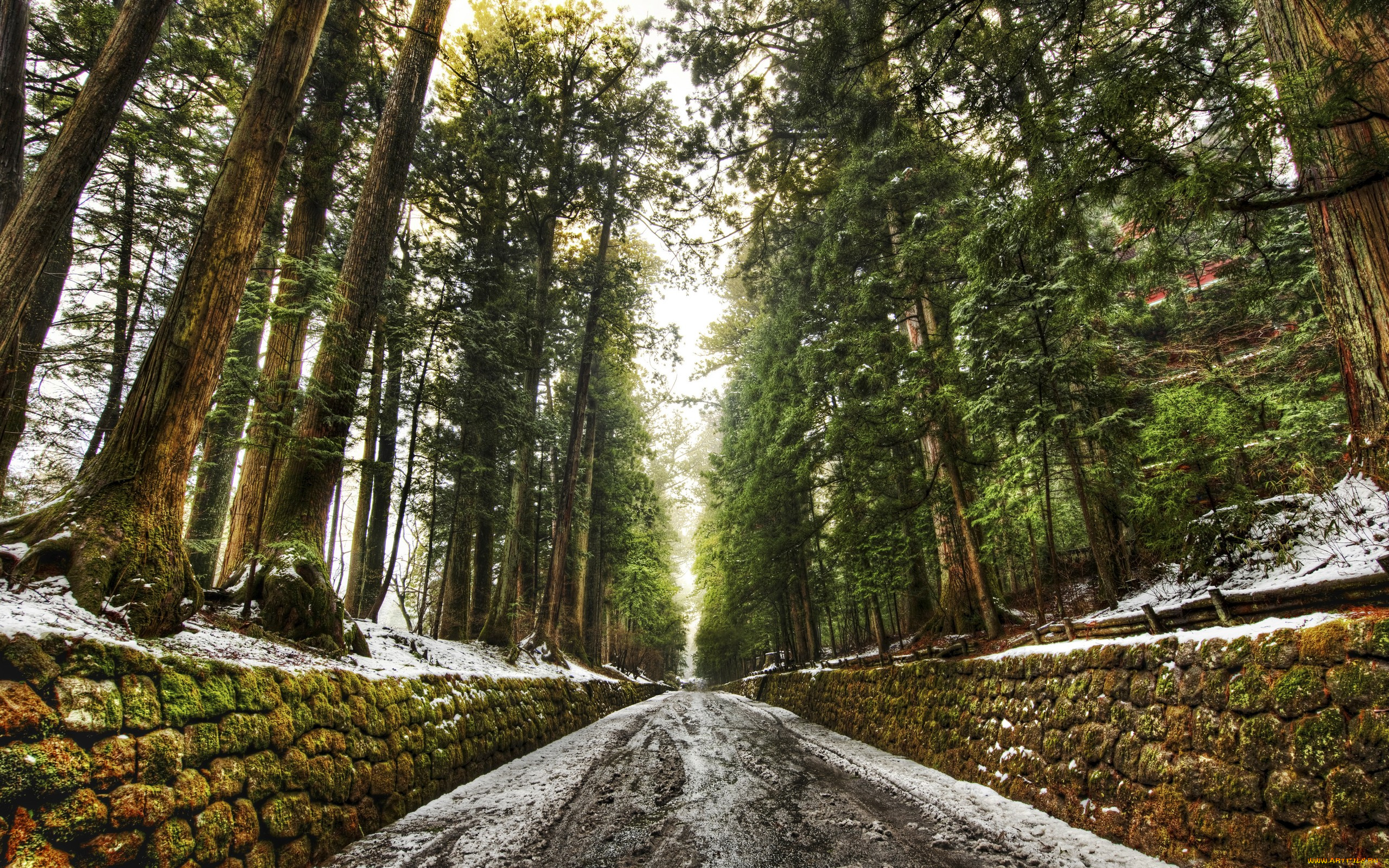 природа, дороги