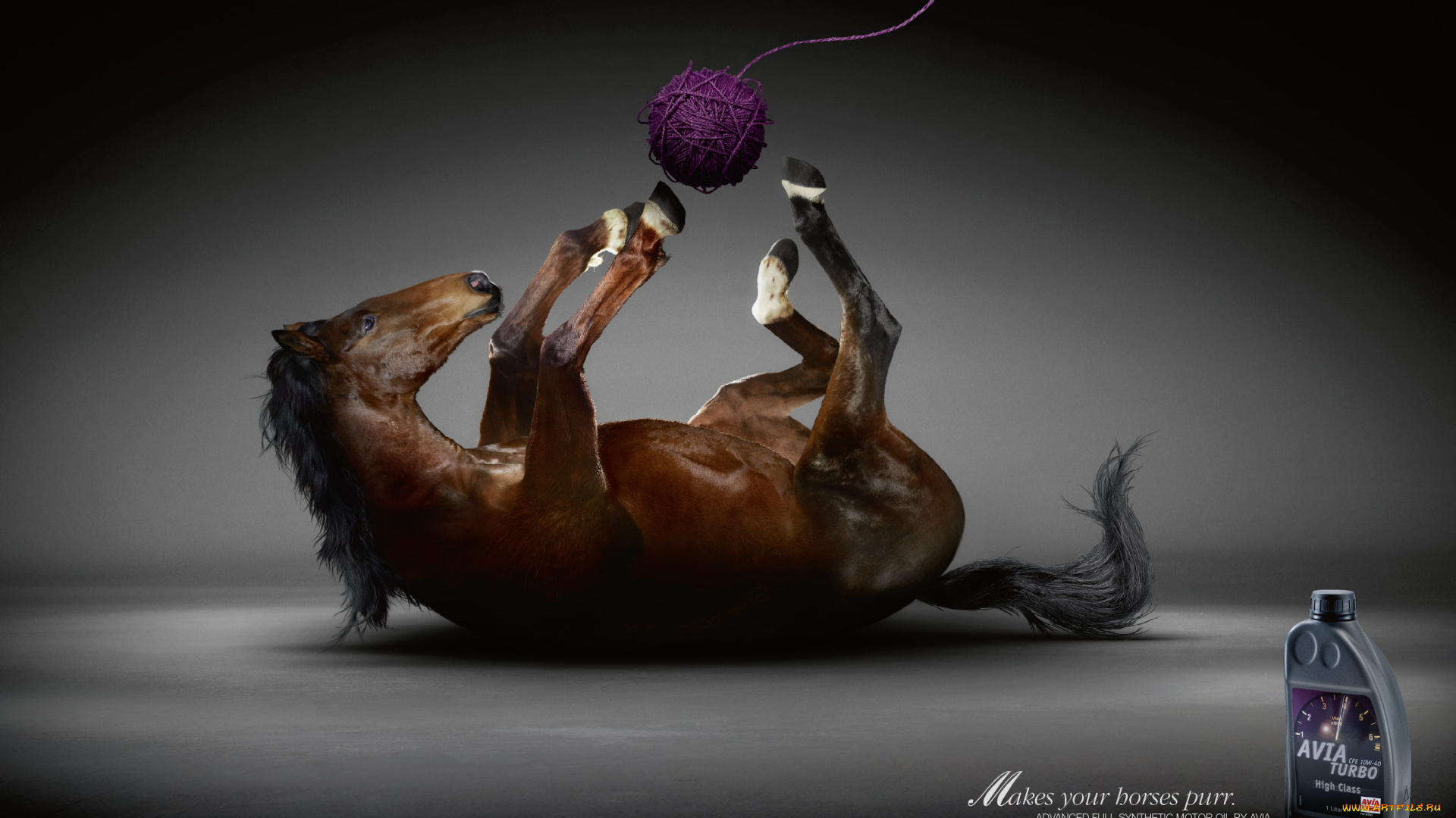 avia, motor, oil, бренды, конь