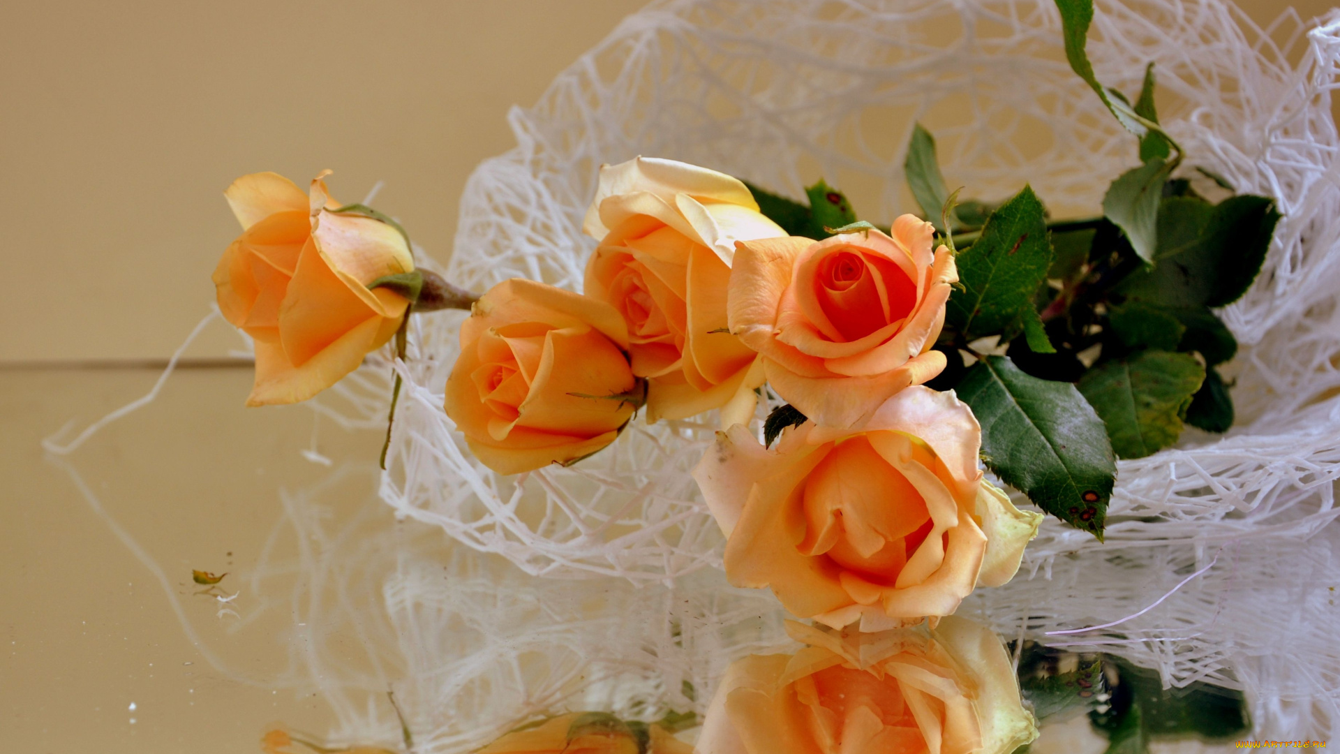 авт, nezabudka, fn, цветы, розы, букет