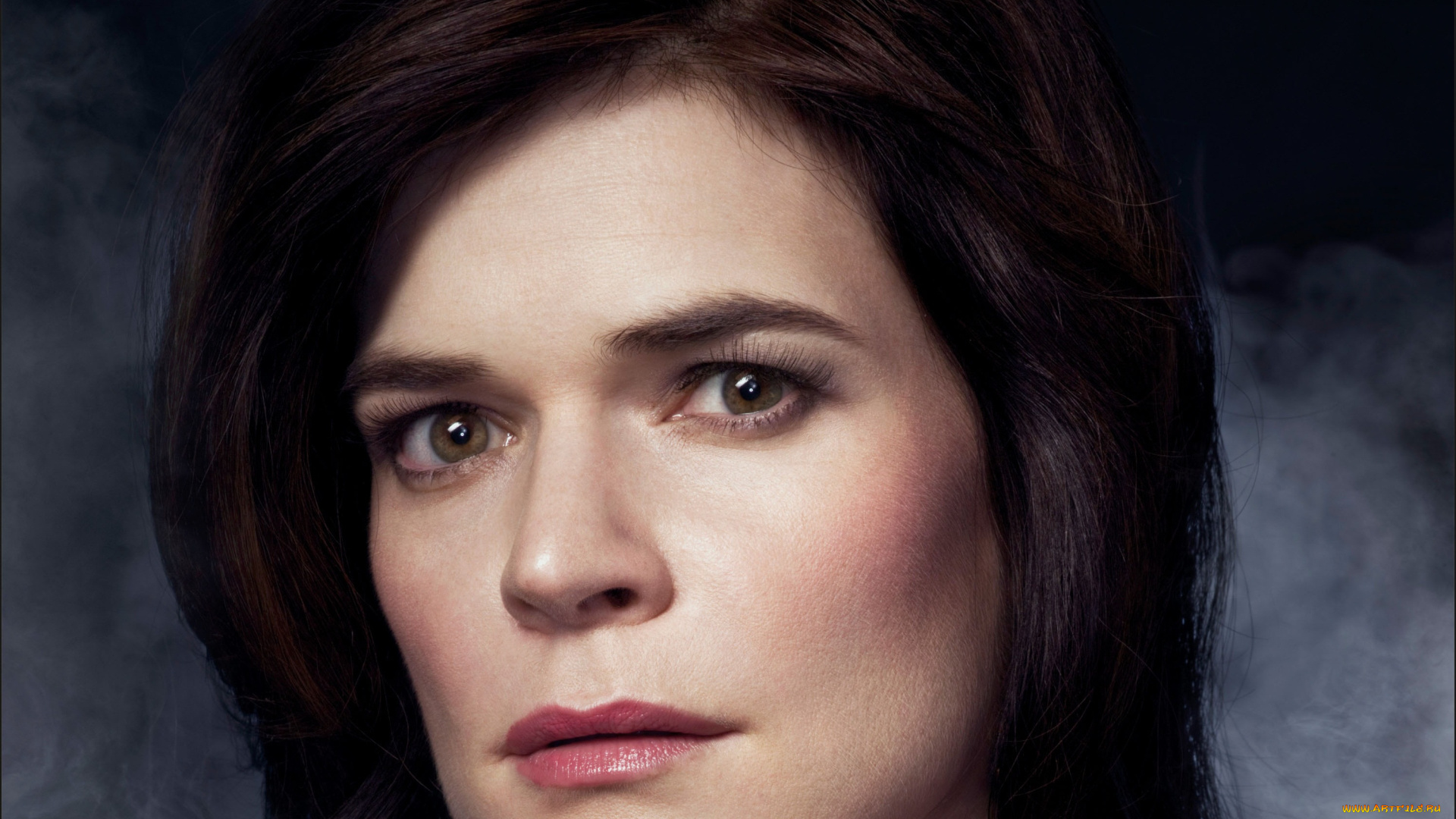 breaking, bad, кино, фильмы, betsy, brandt, marie, schrader