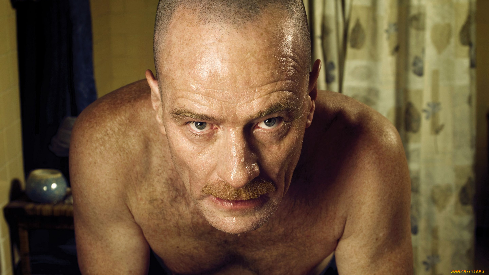 breaking, bad, кино, фильмы, bryan, cranston, walter, white