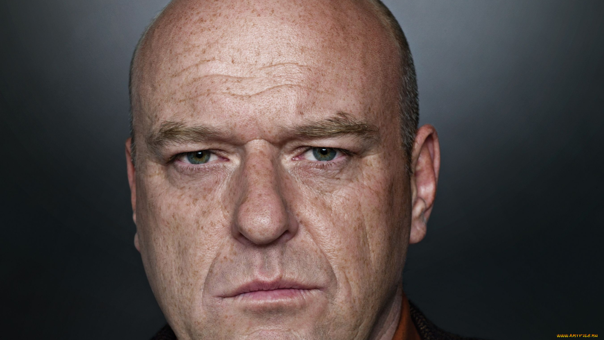 breaking, bad, кино, фильмы, dean, norris, hank, schrader