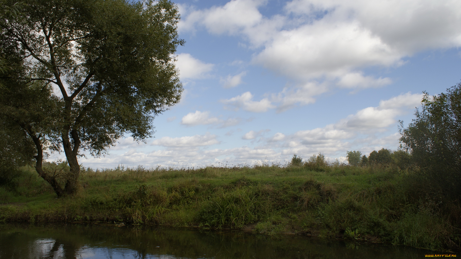 природа, реки, озера, дерево, река, облака
