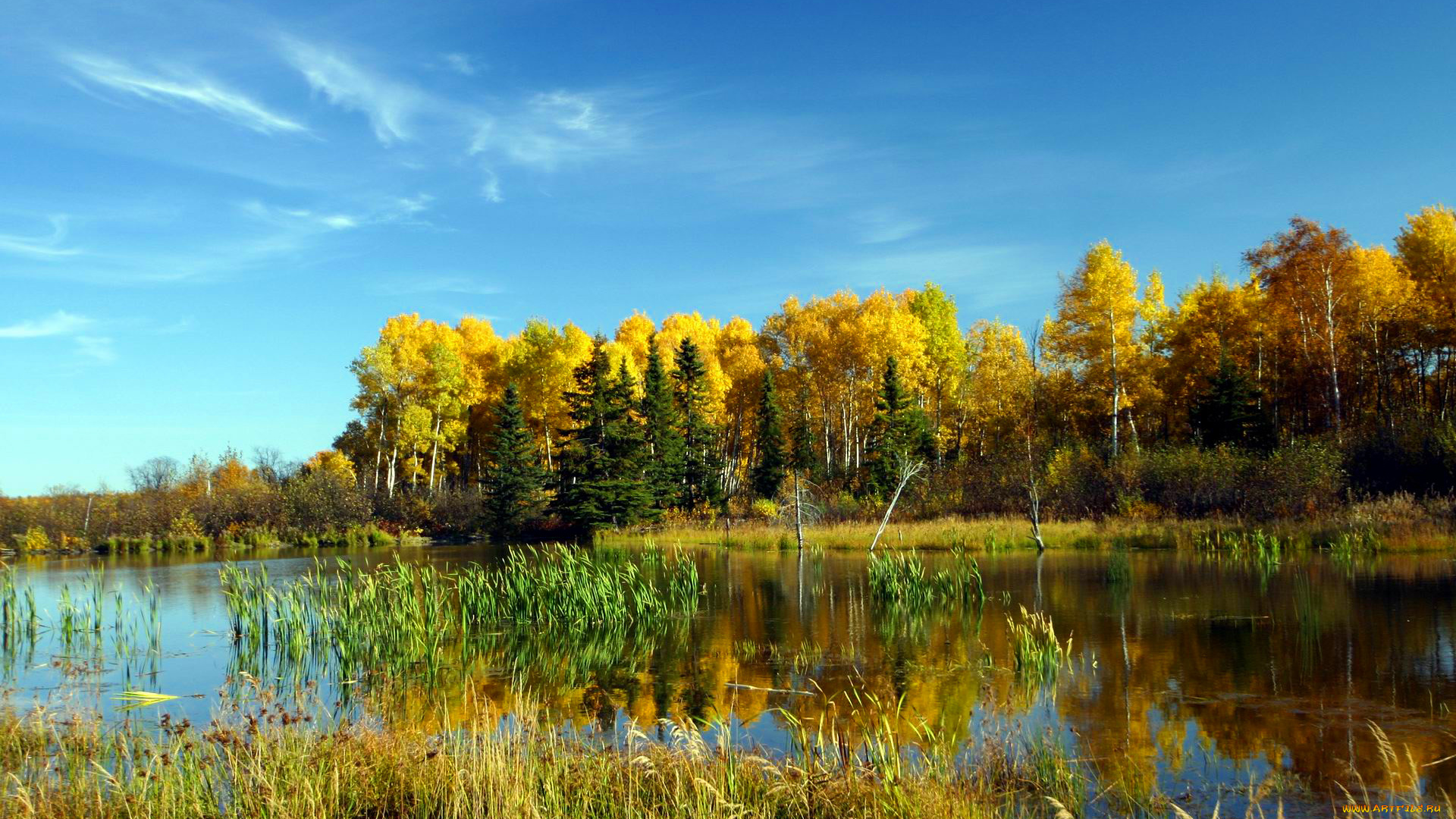 природа, реки, озера, осень, облака, вода