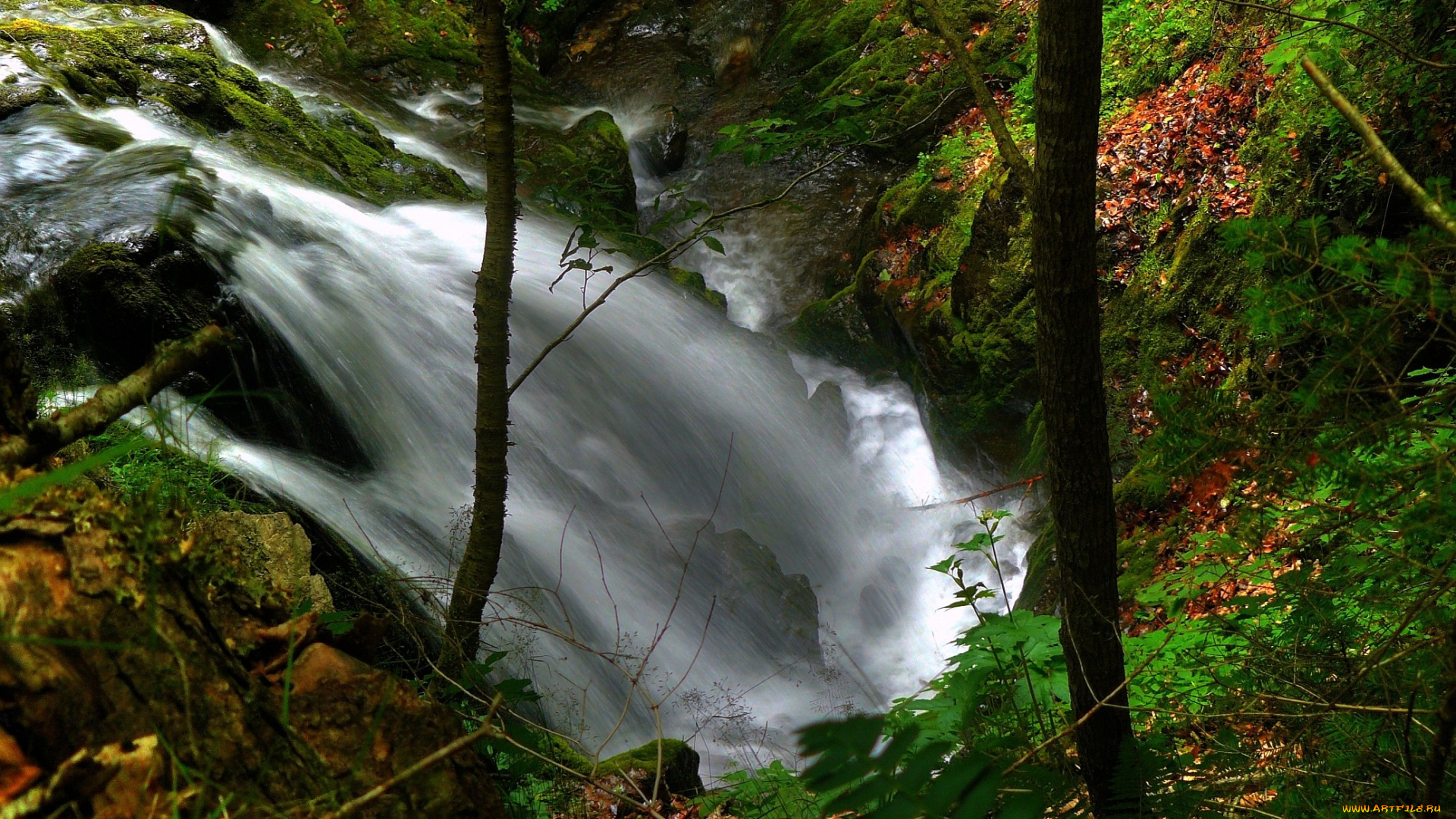 природа, водопады, поток, лес, деревья, камни, вода