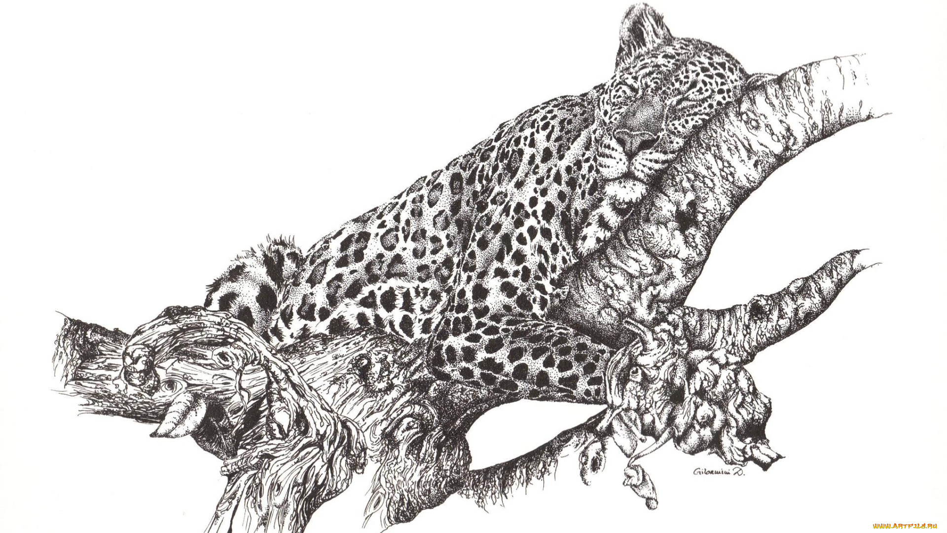 рисованные, животные, ветка, хищник