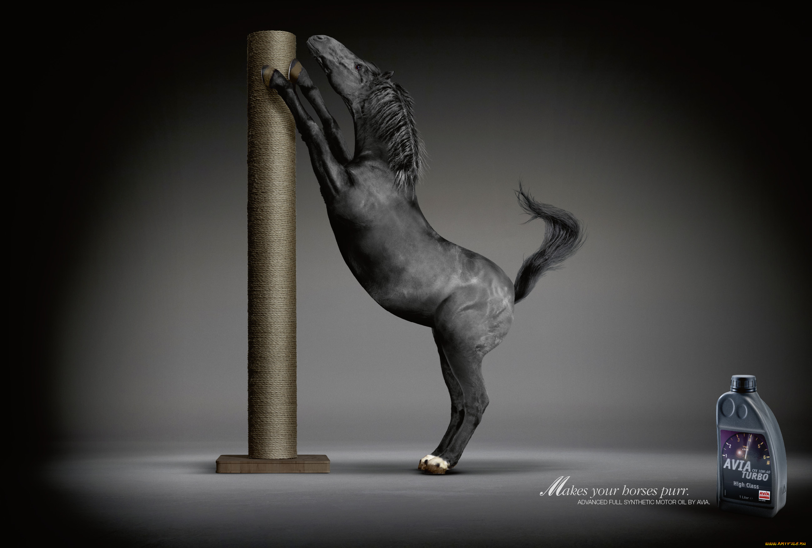 avia, motor, oil, бренды, конь