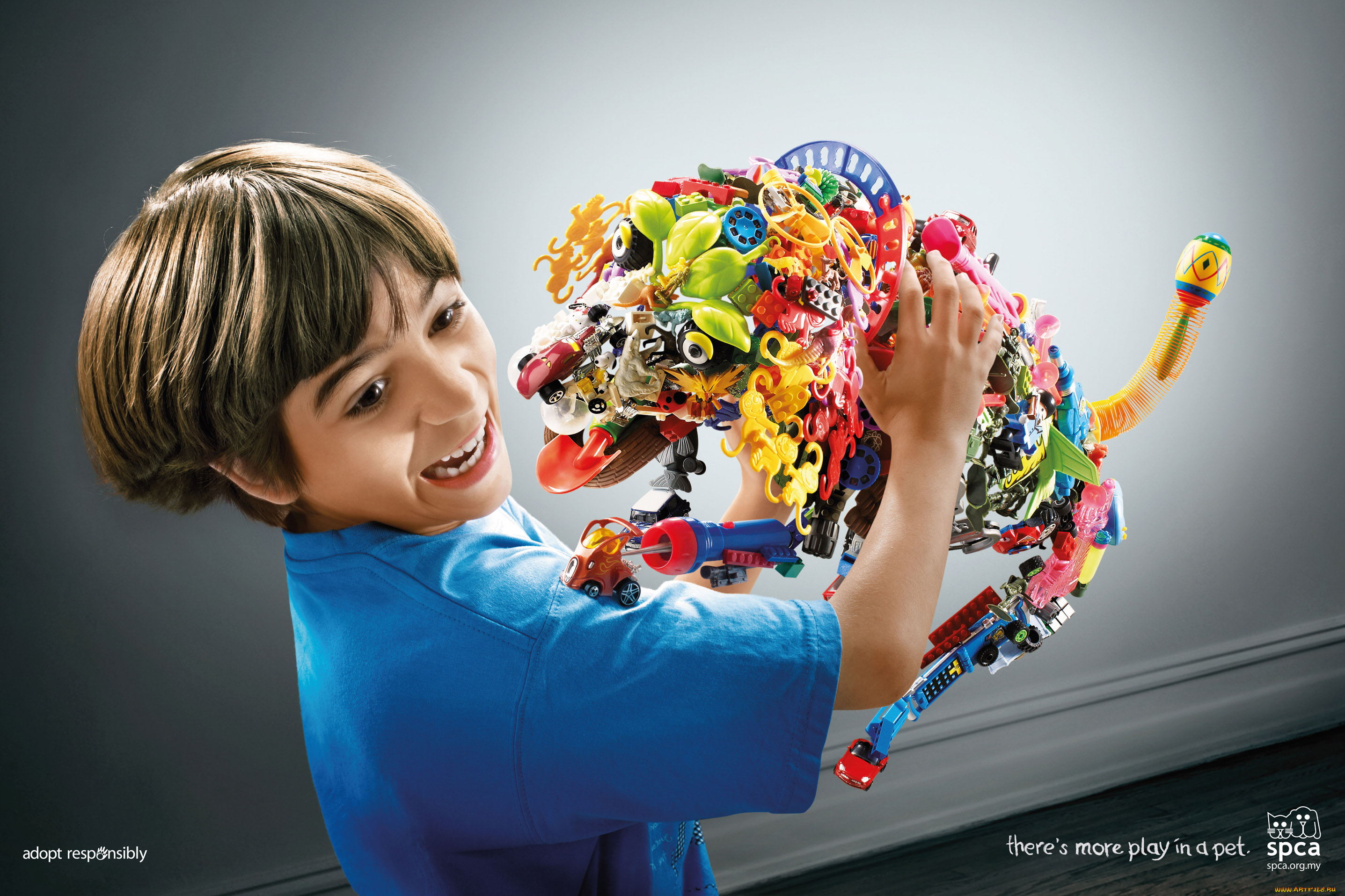 spca, бренды, мальчик