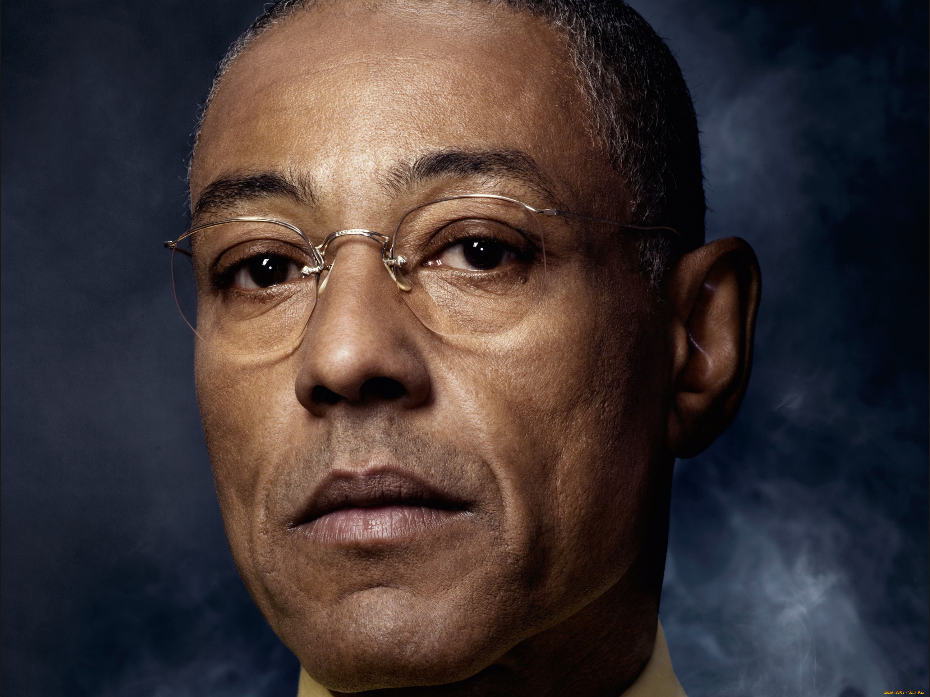 breaking, bad, кино, фильмы, giancarlo, esposito, gus, fring