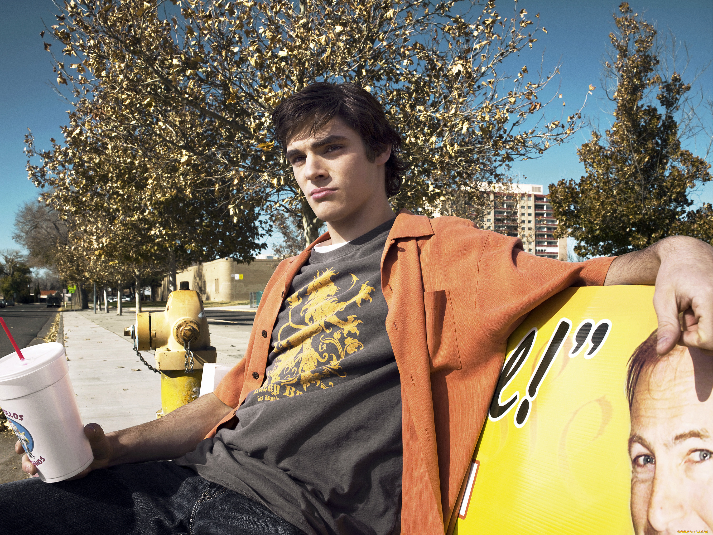 breaking, bad, кино, фильмы, rj, mitte, walter, white, jr