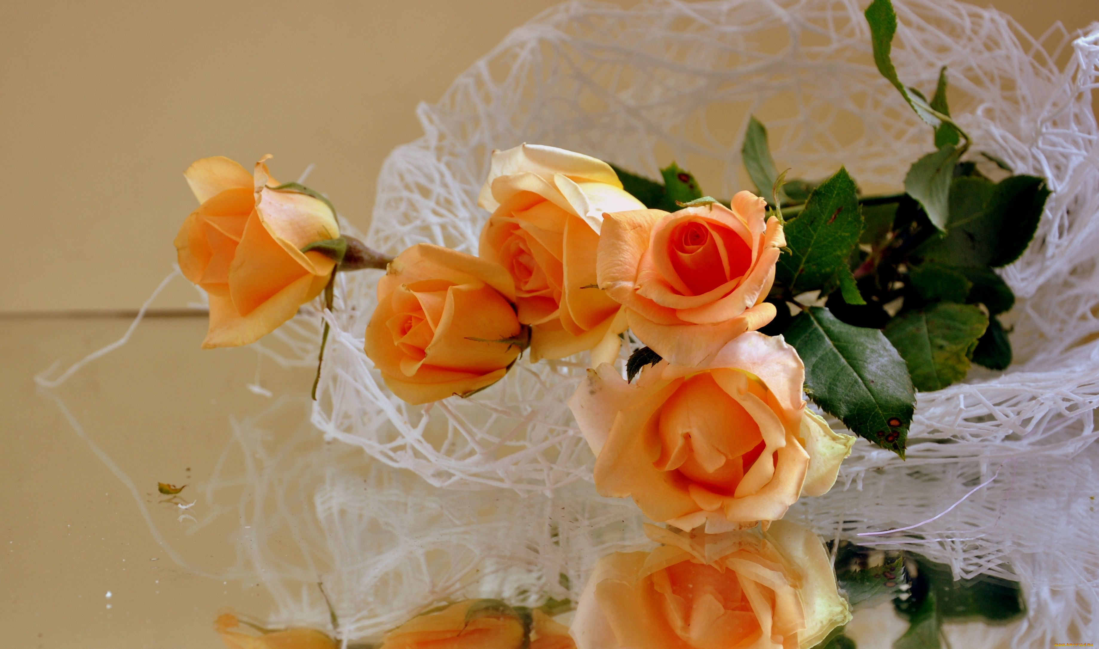 авт, nezabudka, fn, цветы, розы, букет