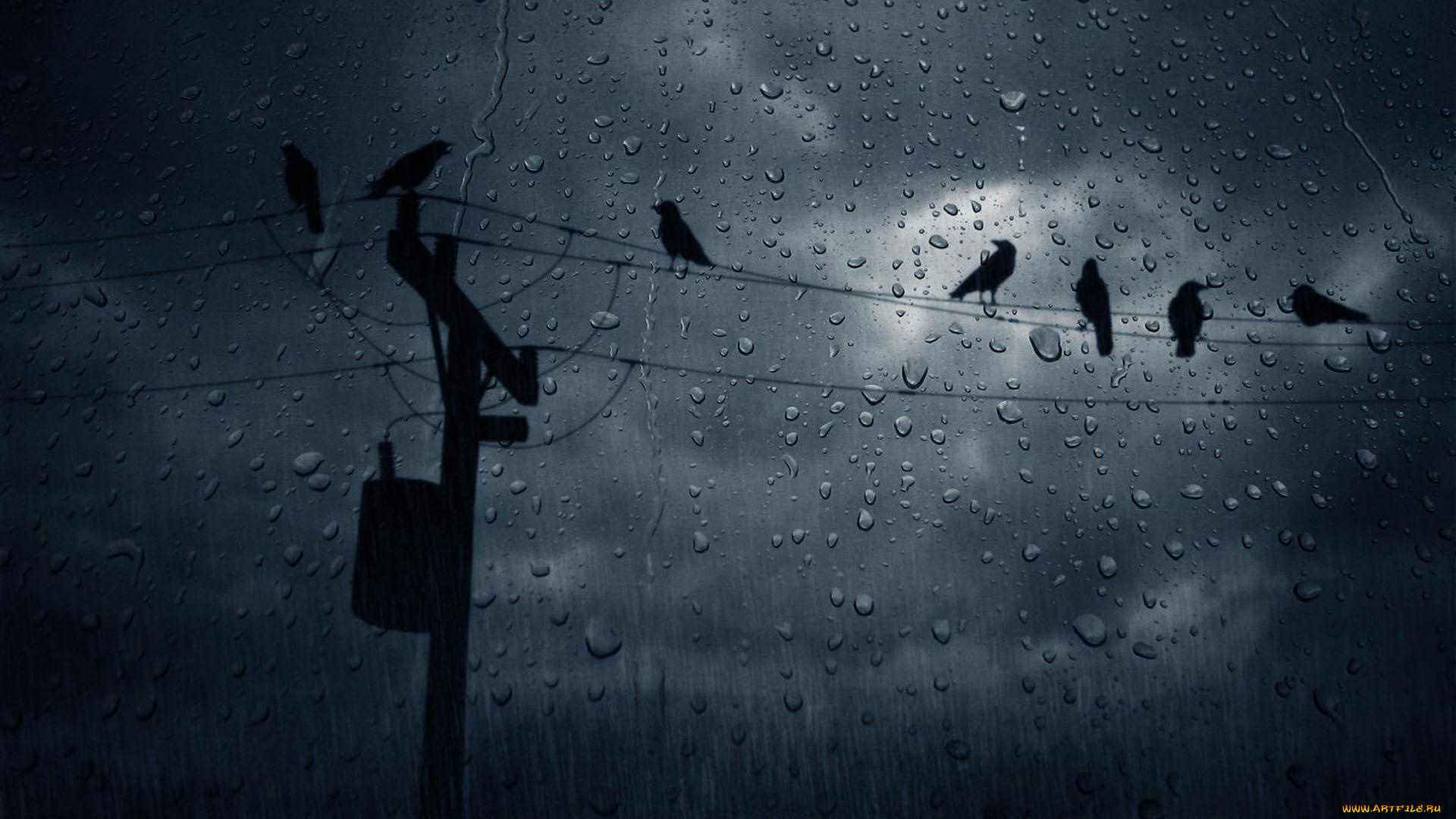 разное, капли, брызги, всплески, опора, провода, птицы, стекло