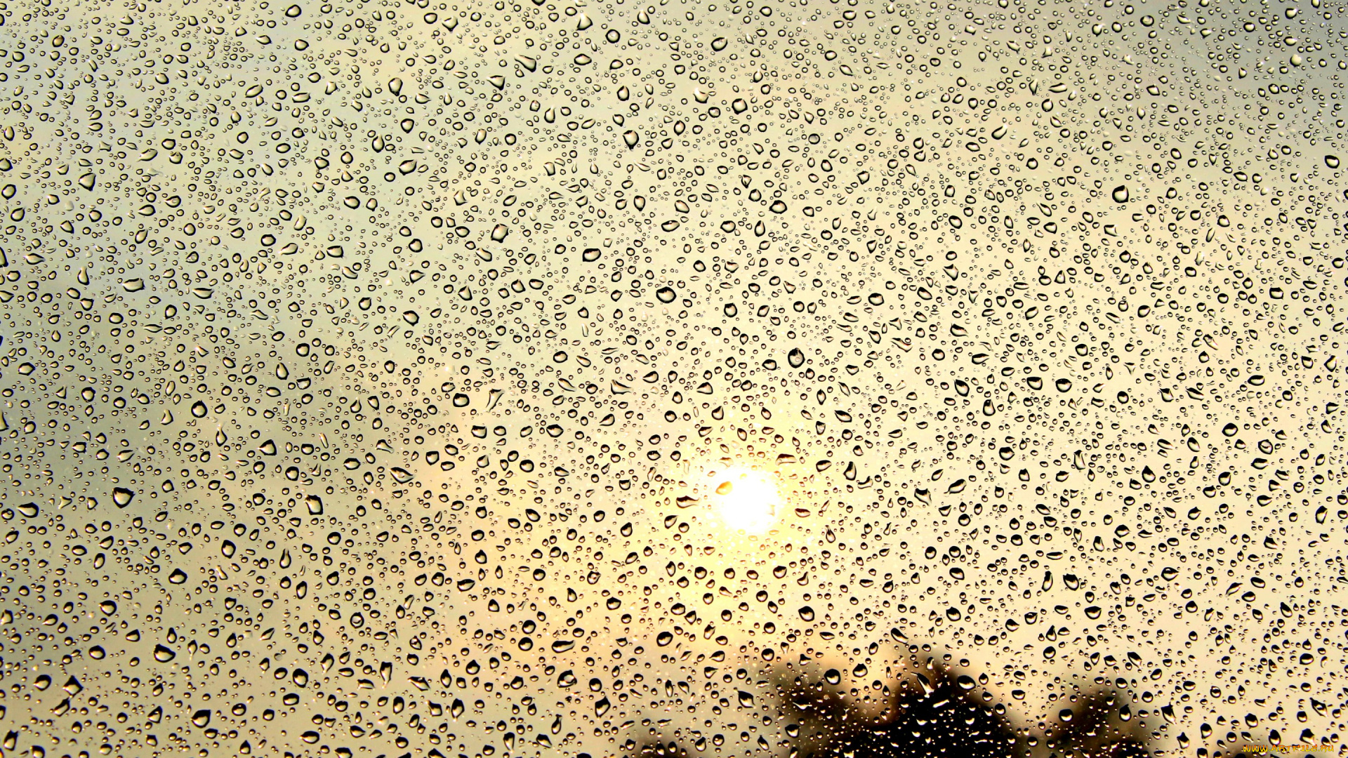 разное, капли, брызги, всплески, стекло