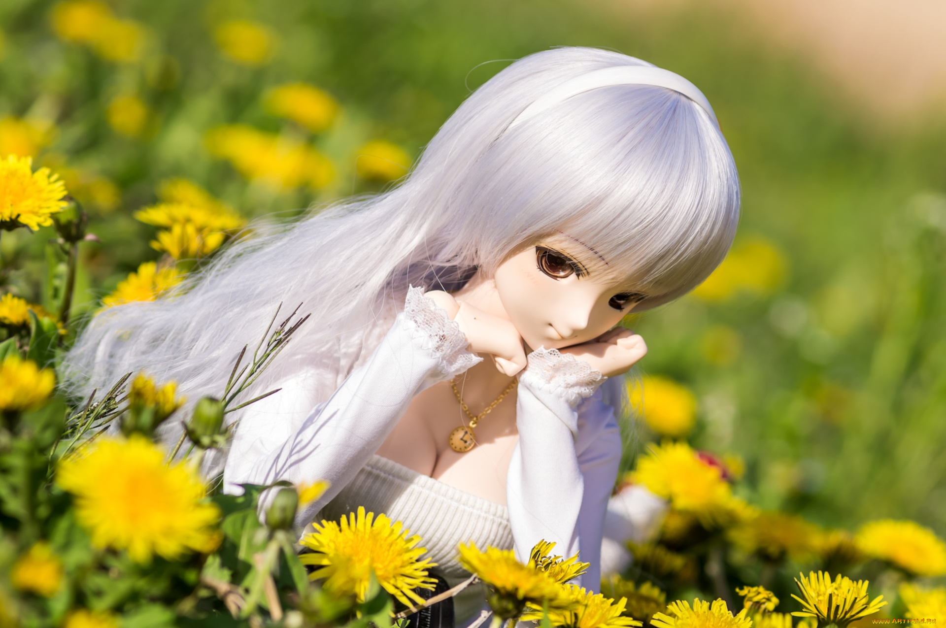 разное, игрушки, одуванчики, кукла