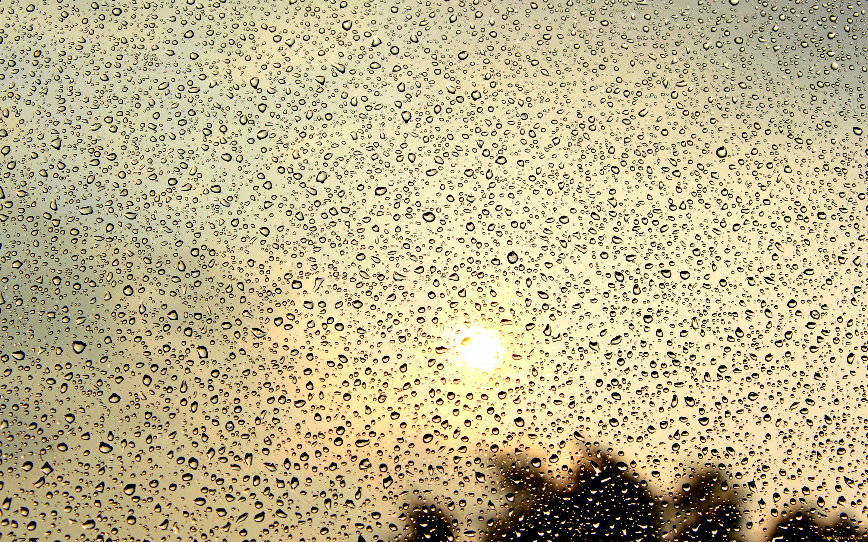 разное, капли, брызги, всплески, стекло