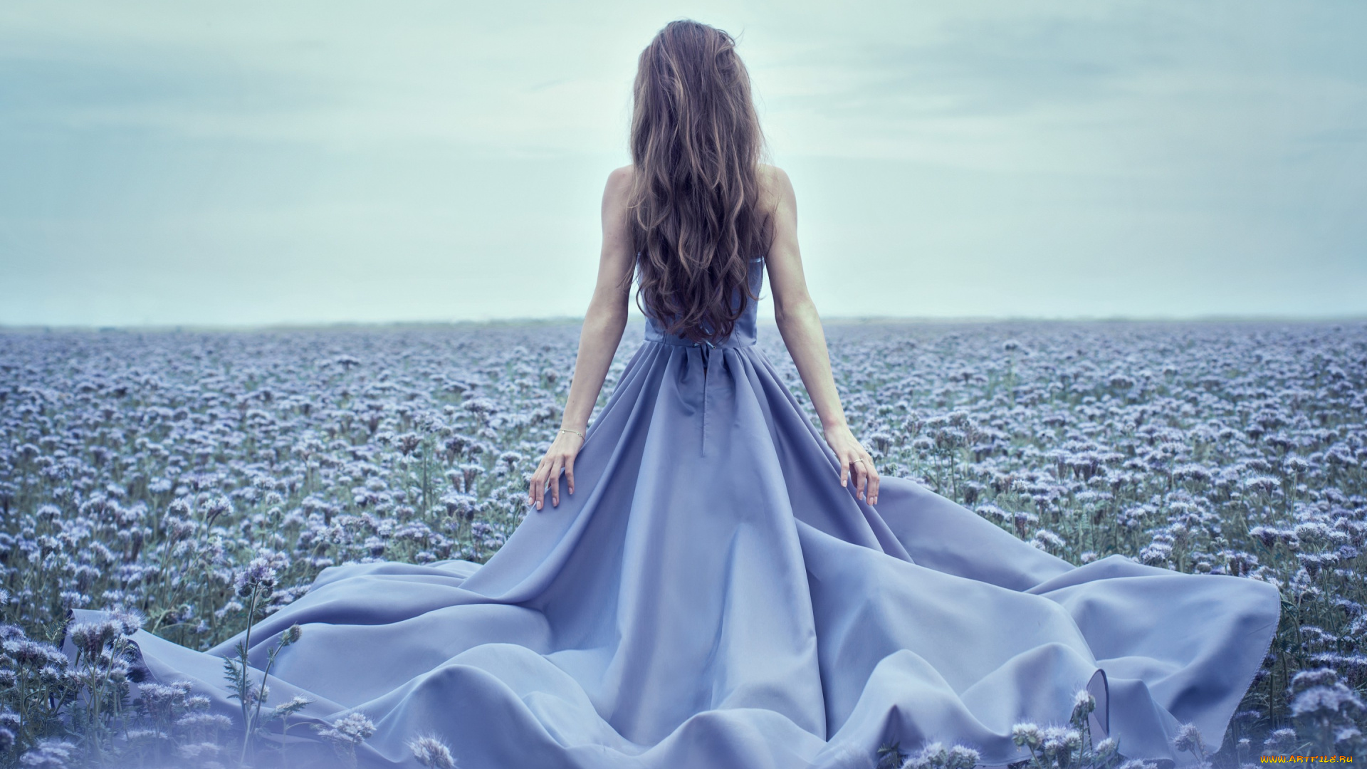 девушки, -unsort, , брюнетки, , шатенки, девушка, спина, платье, шлейф, природа