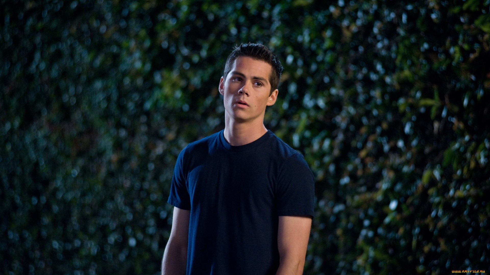 мужчины, -, unsort, the, maze, runner, бегущий, по, лабиринту, стайлз, парень, dylan, obrien, дилан, обрайэн, teen, wolf