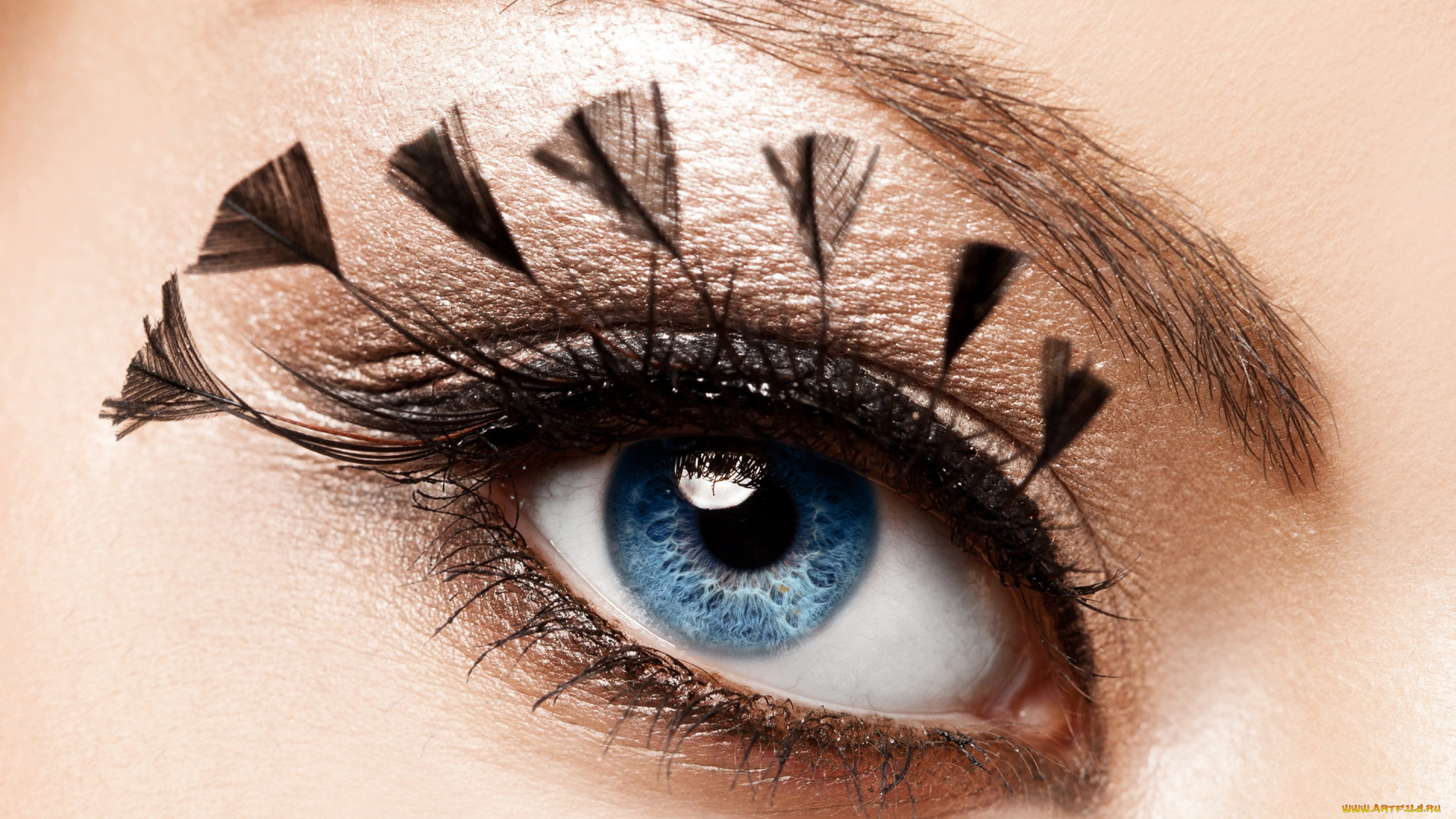 разное, глаза, ресницы, тени, глаз, макияж, девушка, перья