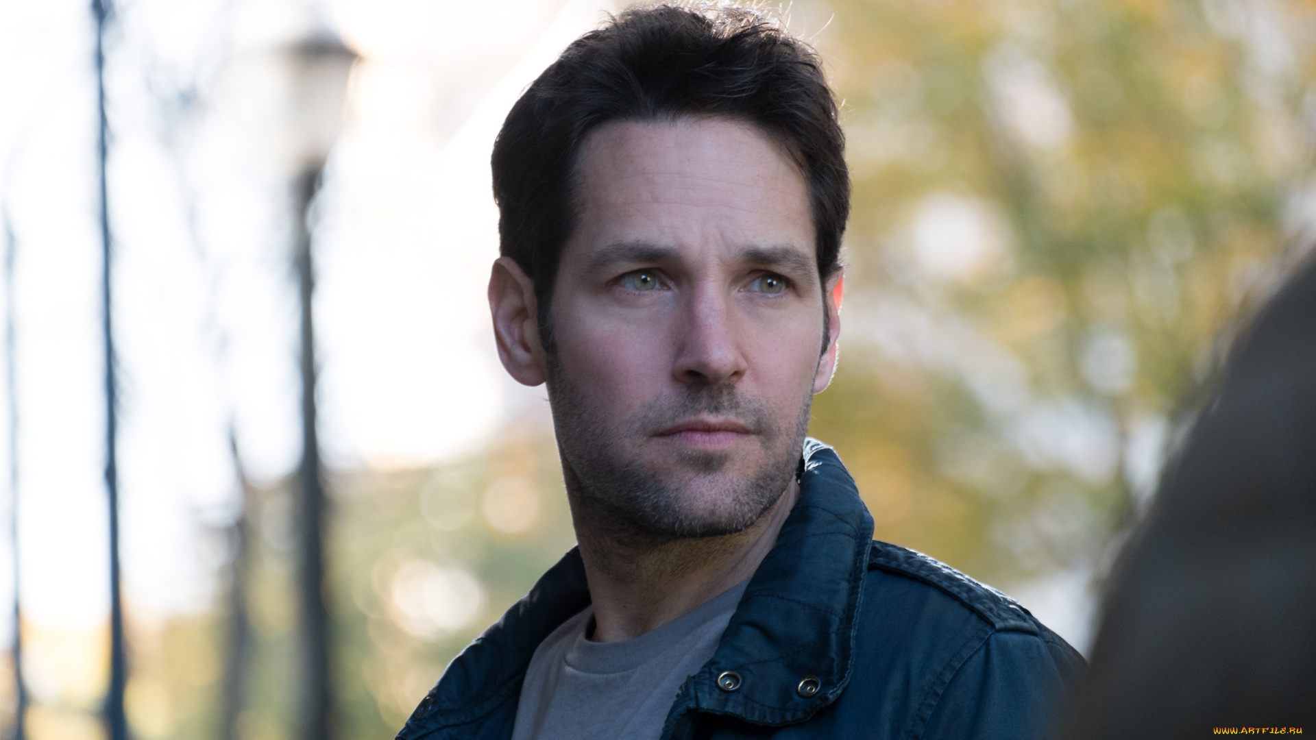 ant, man, кино, фильмы, ant-man, персонаж