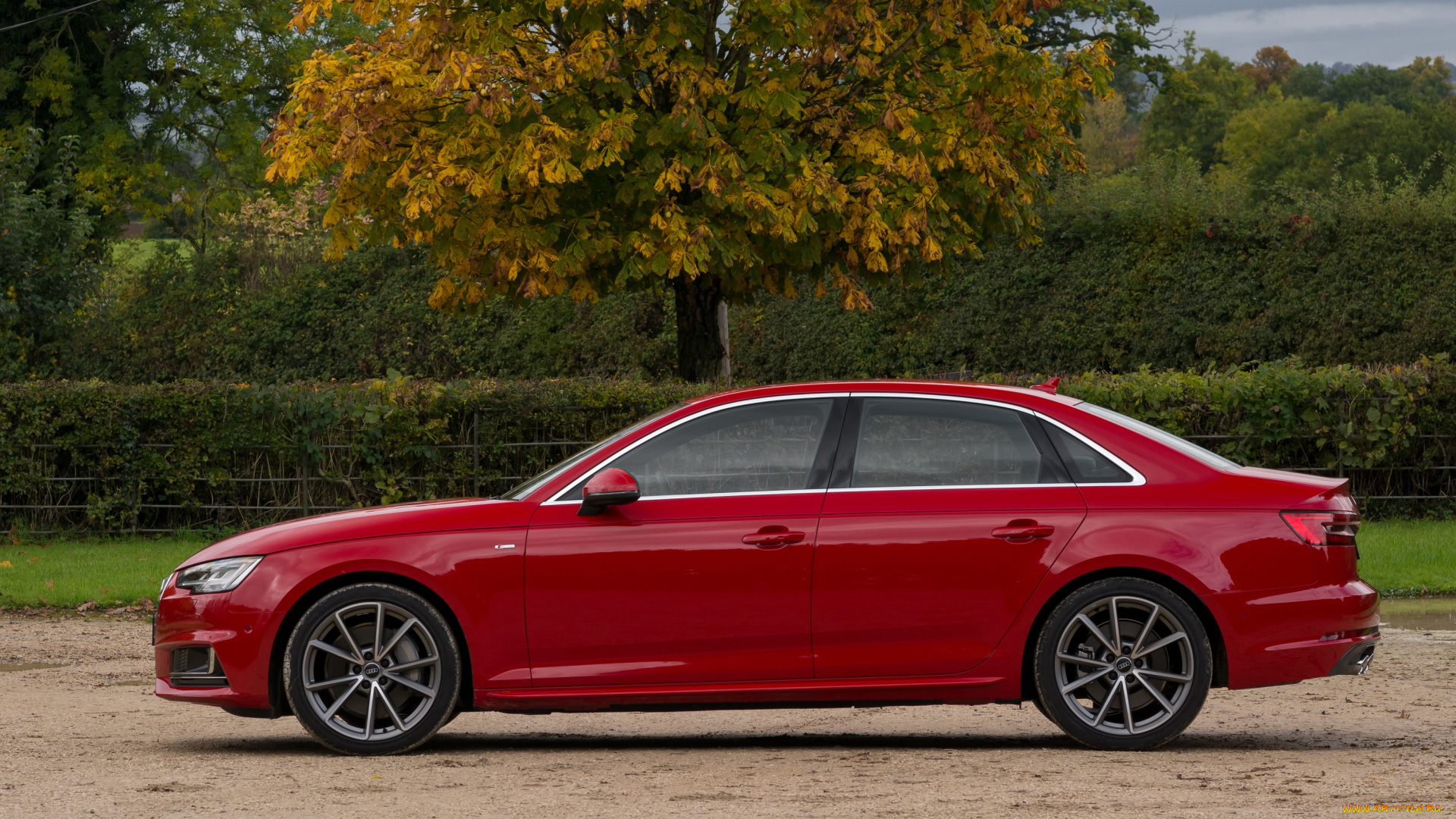 автомобили, audi, a4, b9, uk-spec, s, line, quattro, tdi, 2015г, красный