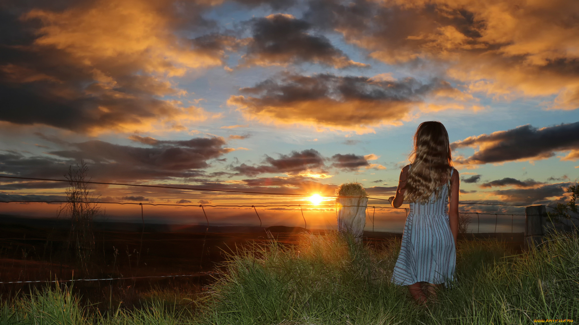 девушки, -unsort, , блондинки, summer, sunset, лето, закат, девушка